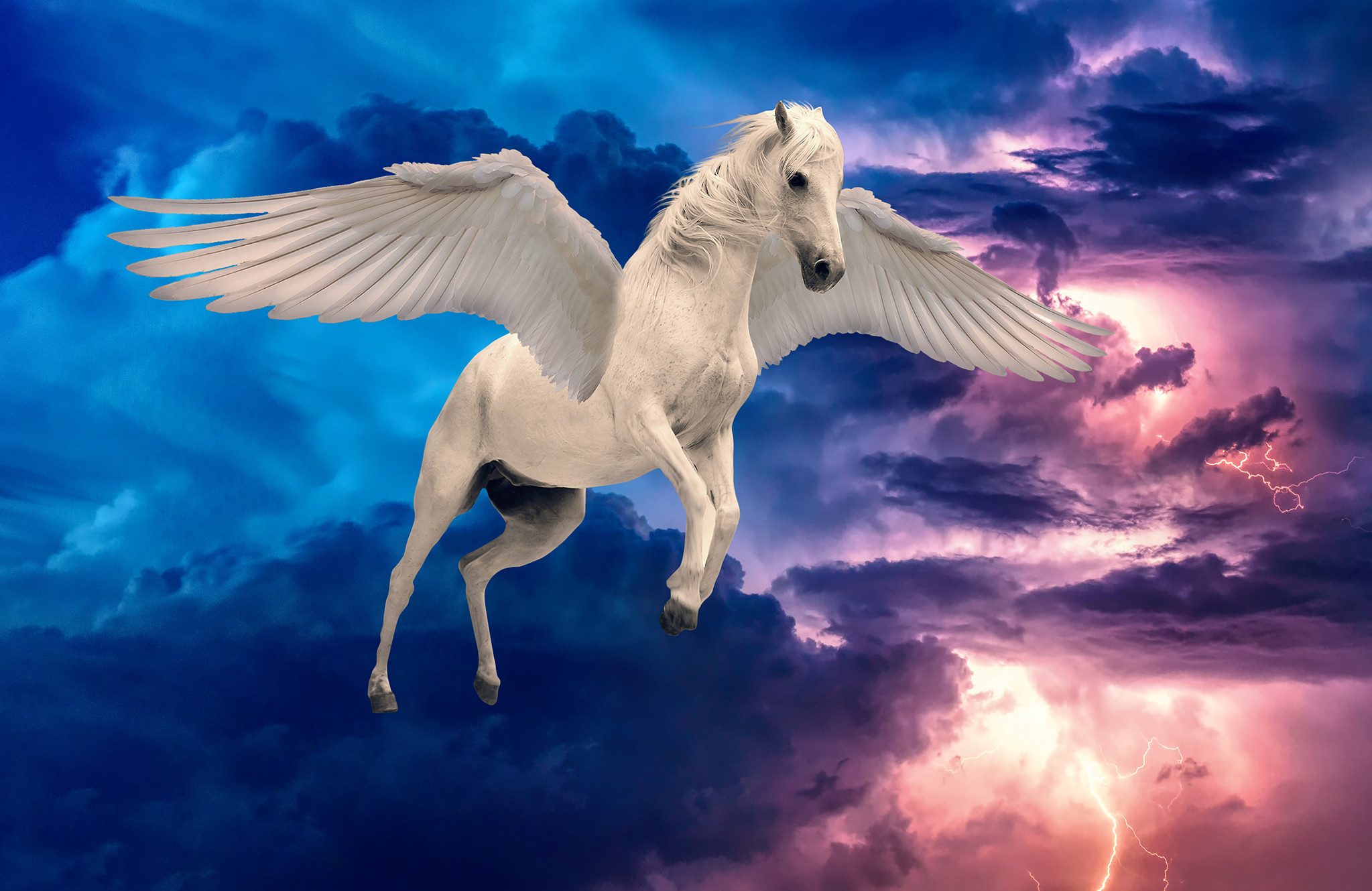 Papermoon Fototapete VLIES-Tapete Premium "Einhorn", Kleister KOSTENLOS, reduziert, 3D-Effekt, restlos trocken abziehbar, (5761), Wandtapete Bild Dekoration Wand-Dekor Motiv Tapete Poster