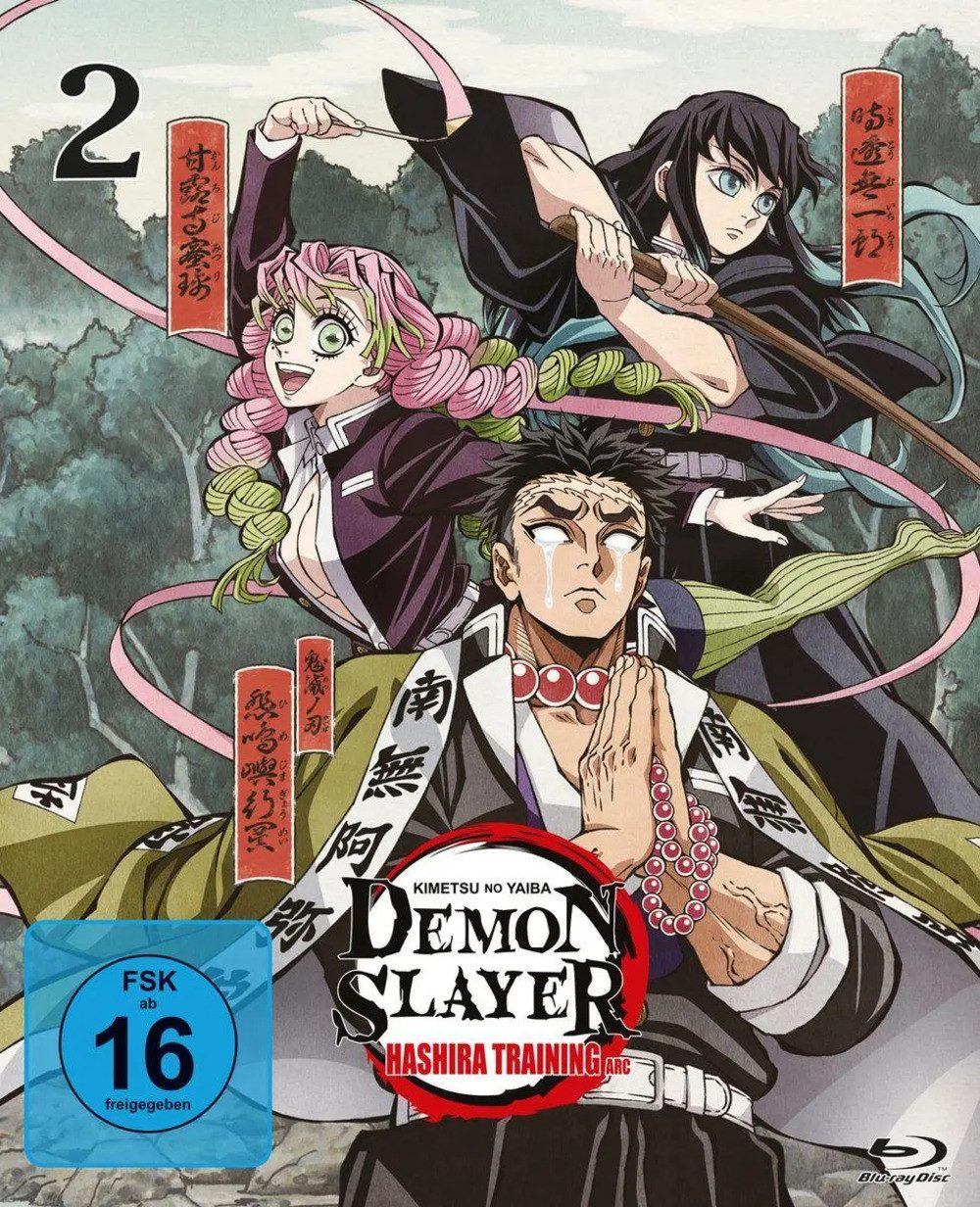 Crunchyroll Blu-ray Demon Slayer: Kimetsu no Yaiba Hashira Training Arc - Vol.2 -...