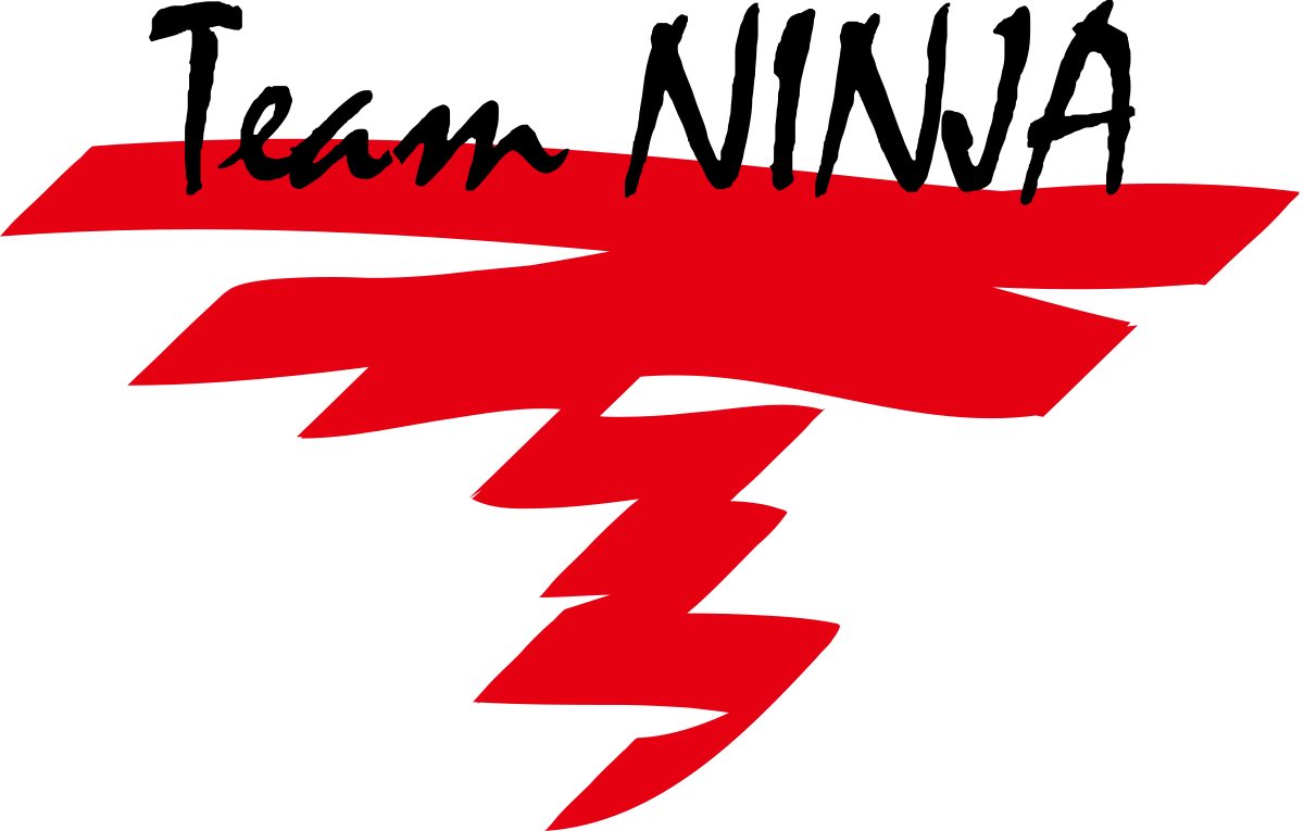 Team Ninja