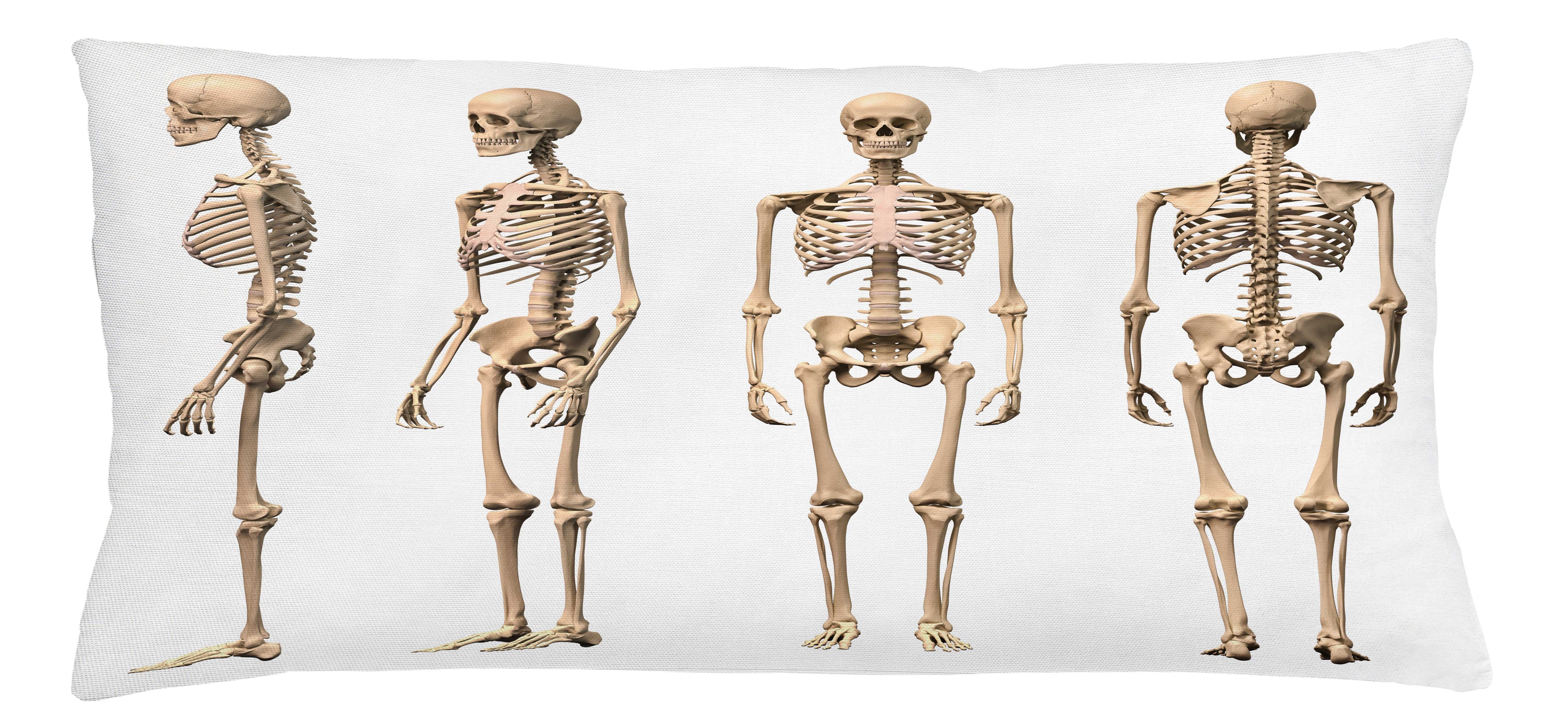 Abakuhaus Kissenbezüge Kissenhülle mit Farbfesten Klaren Farben Beidseitiger Druck, (1 Stück), Anatomie Gesundheit Skeleton