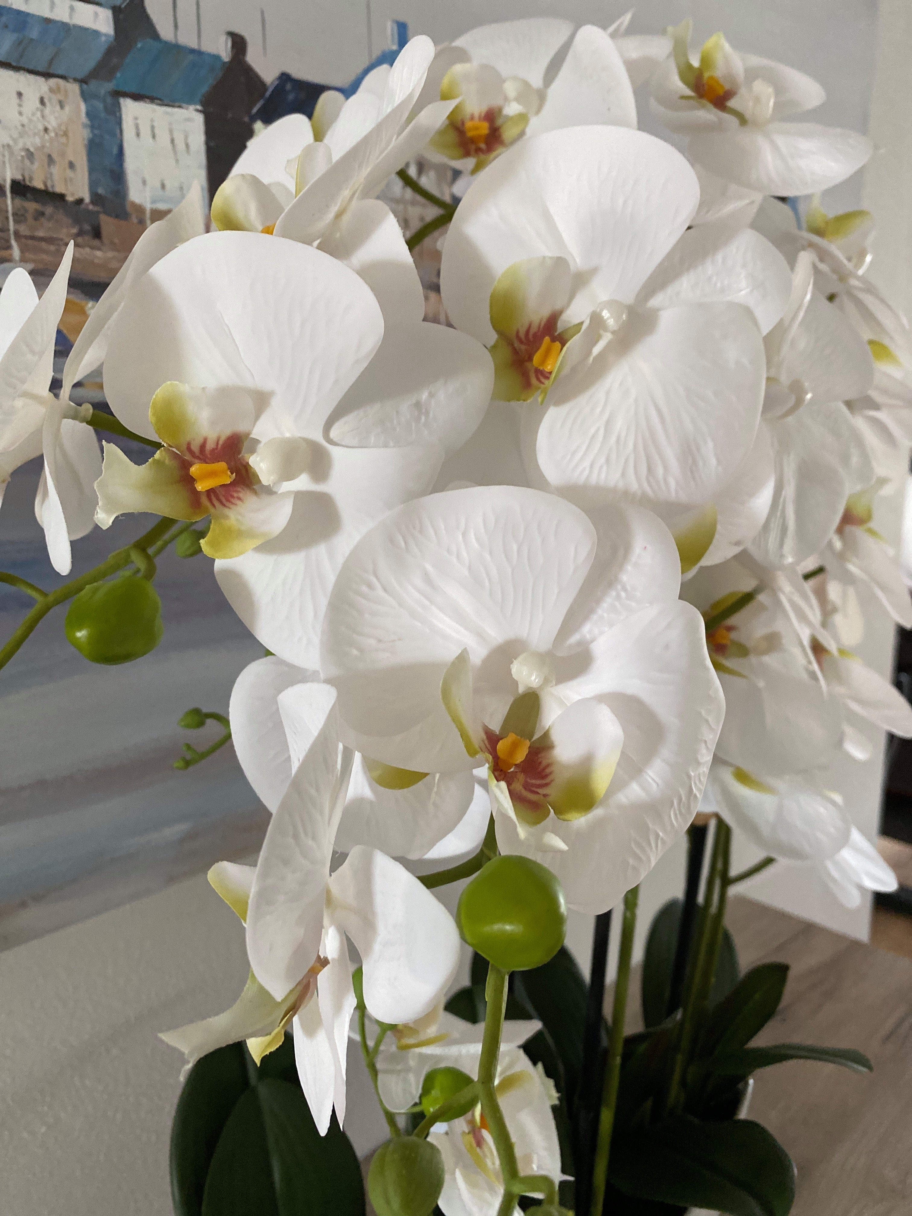 Kunstblume Orchidee in Arrangement cm, Keramiktopf, weißem 70 Studios Dahlia