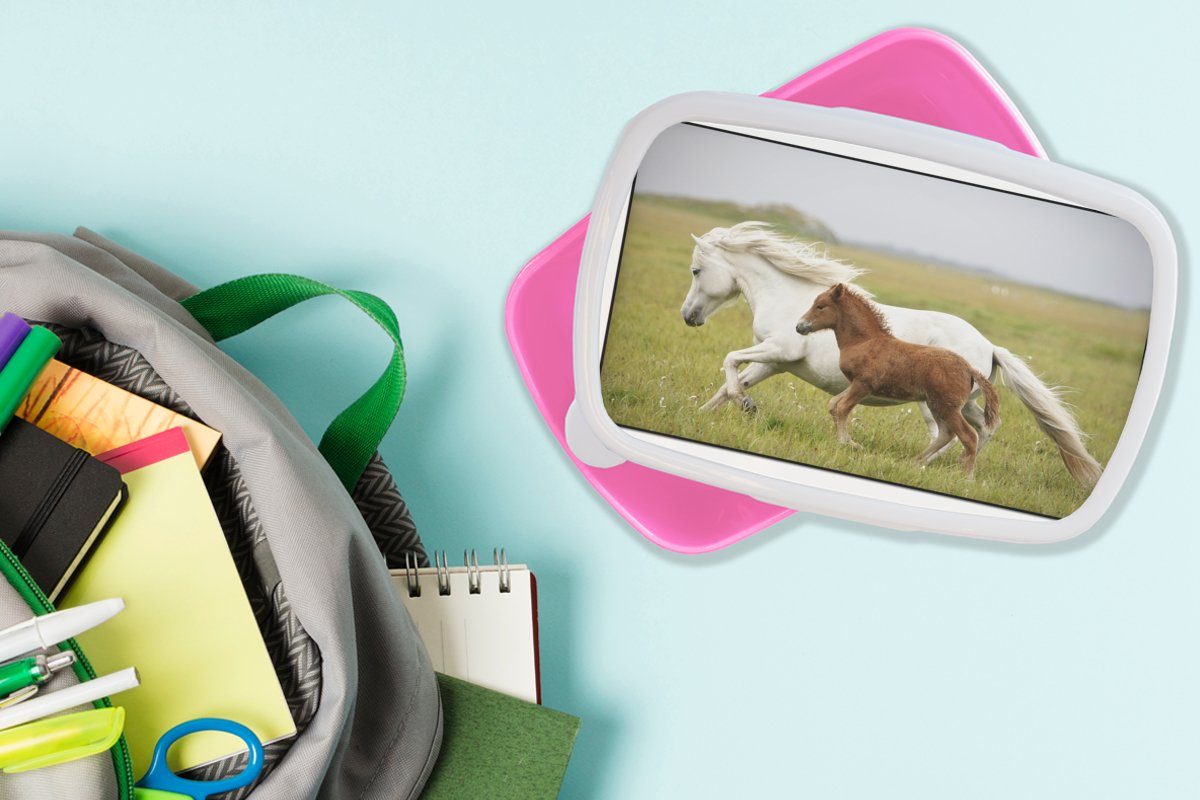 MuchoWow Lunchbox Pferde - Tiere Kinder, für (2-tlg), Kunststoff, Snackbox, - rosa Gras, Mädchen, Kunststoff Erwachsene, Brotdose Brotbox