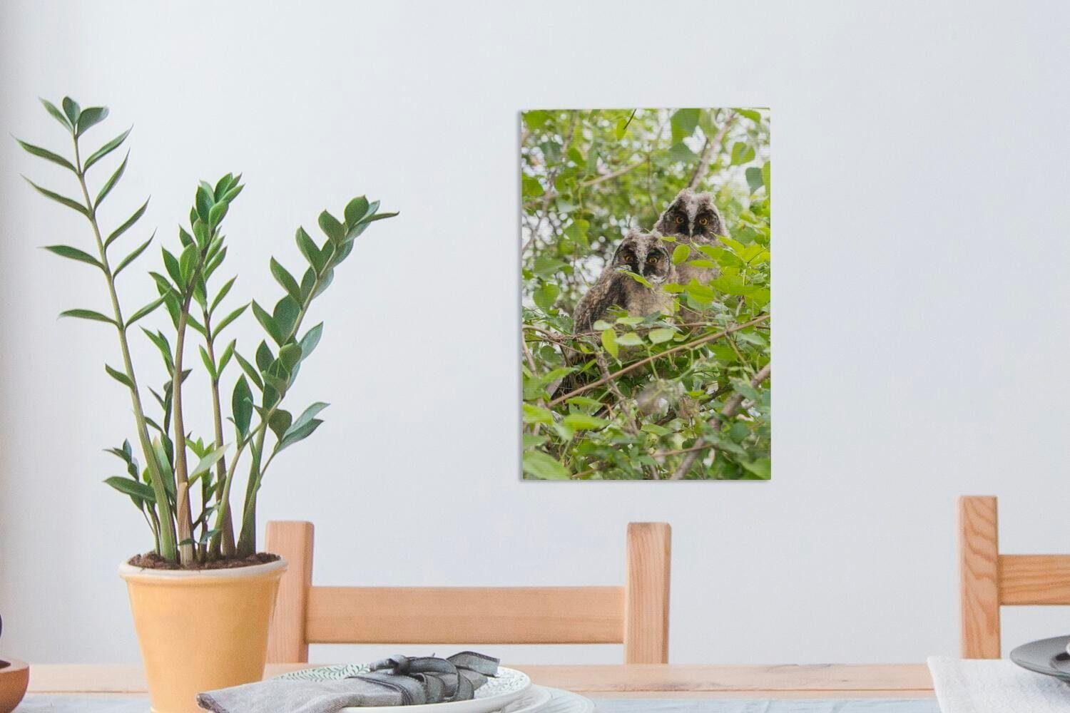 20x30 cm Zwei Leinwandbild Bäumen, den (1 sitzen fertig OneMillionCanvasses® inkl. zwischen Zackenaufhänger, St), Leinwandbild bespannt Gemälde, Waldohreulen