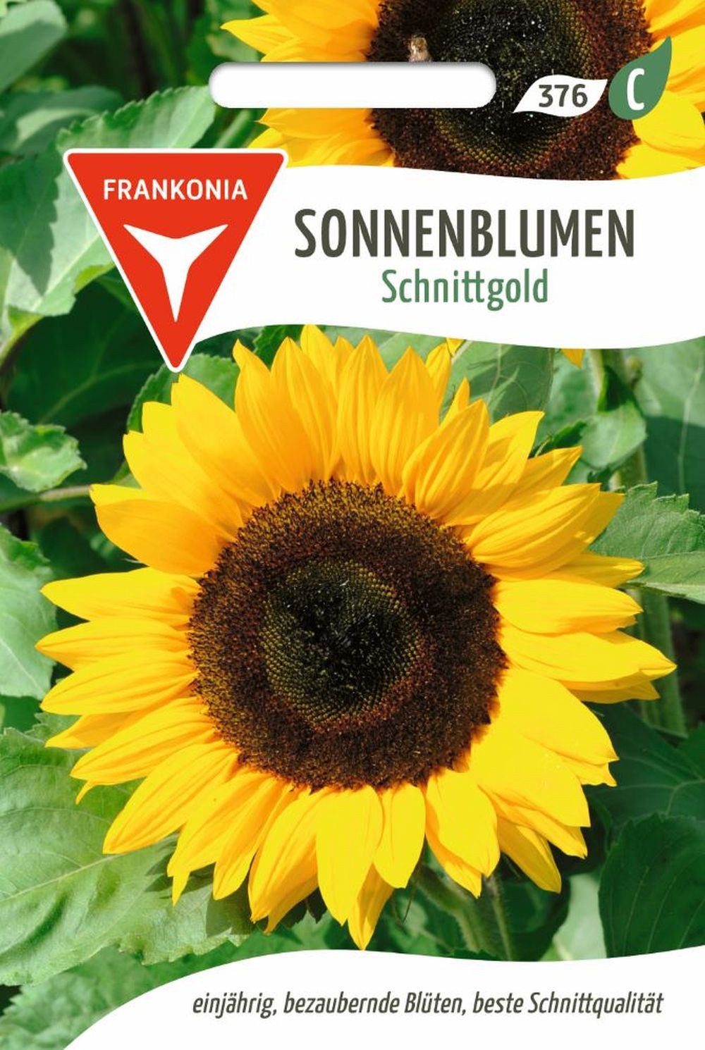 FRANKONIA Blumensamen Sonnenblume, Schnittgold - Saatgut SonnenSamen, Helianthus annuus