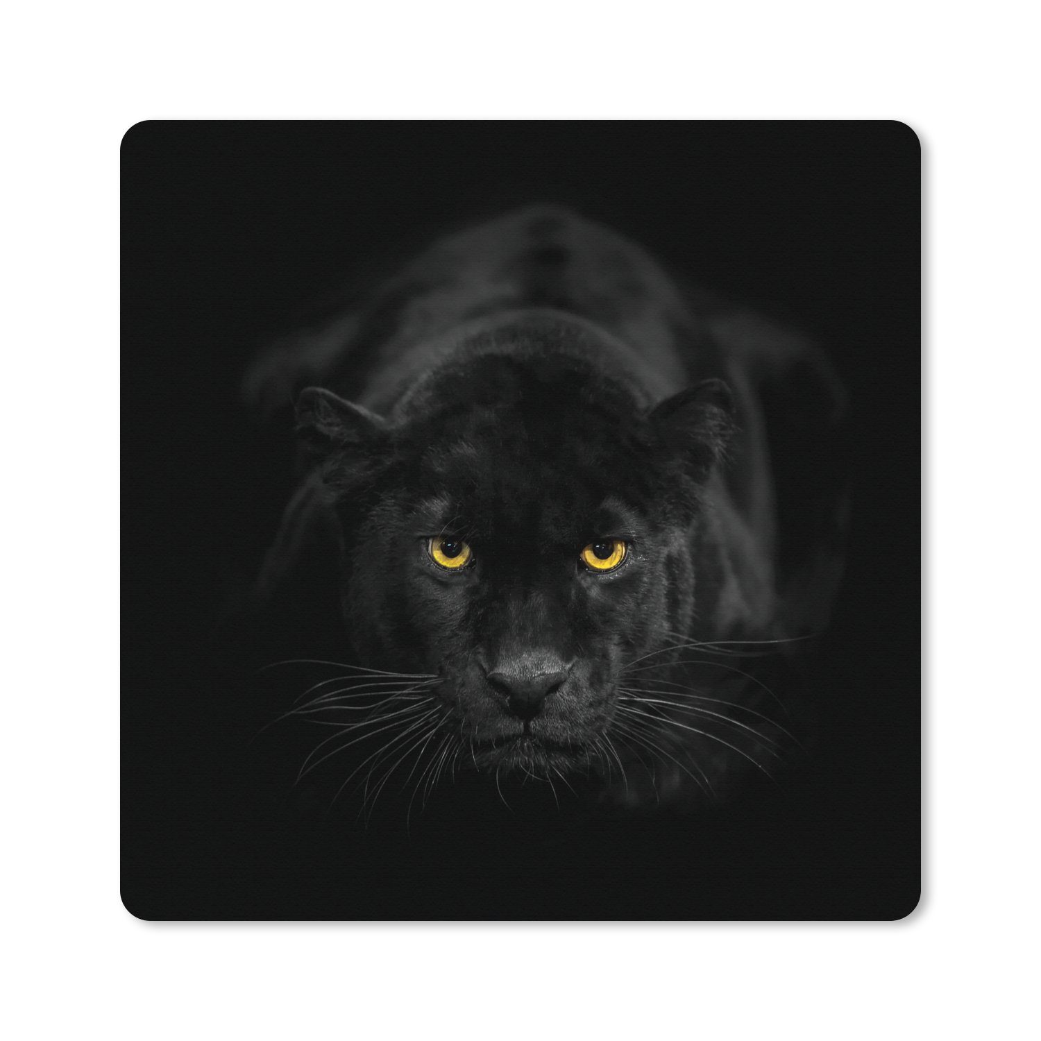 MuchoWow Gaming Mauspad Leopard - Augen - Schwarz (1-St), Mousepad mit Rutschfester Unterseite, Gaming, 40x40 cm, XXL, Großes
