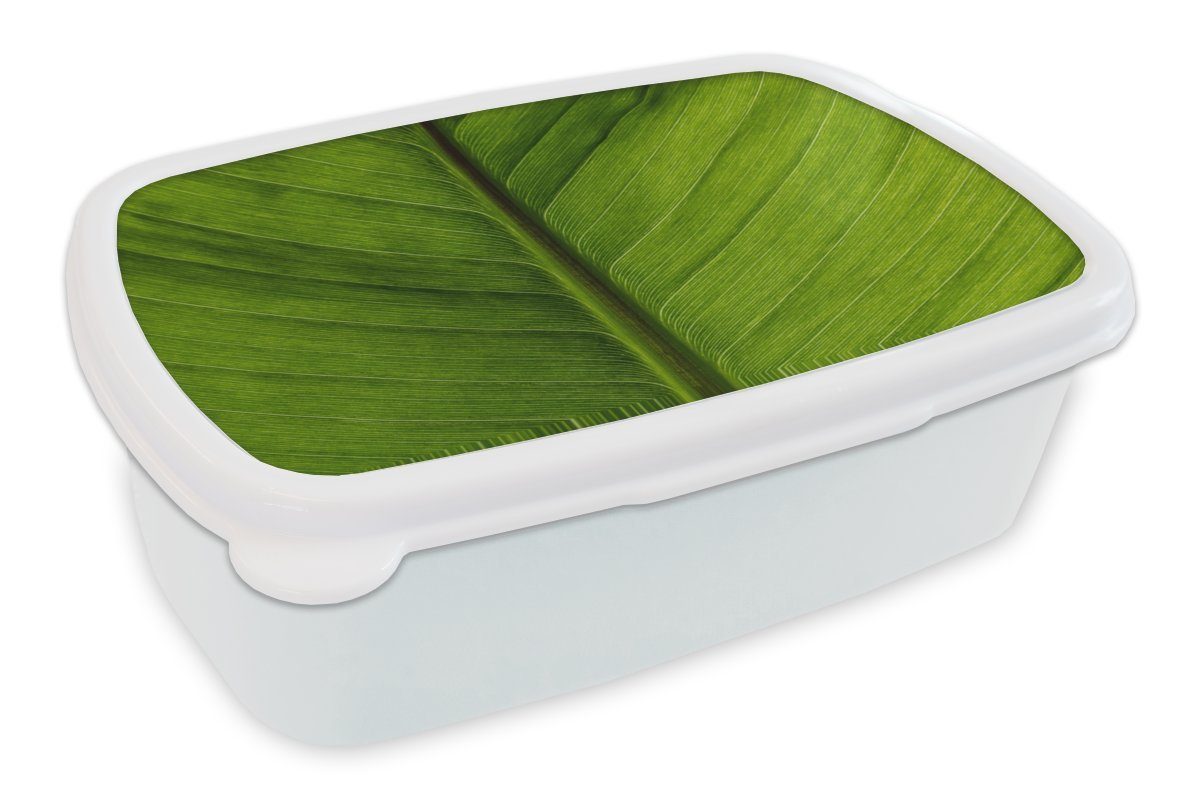 Jungs Brotdose, für - Lunchbox - für Kunststoff, (2-tlg), und Textur Erwachsene, Brotbox Grün, weiß Kinder und Mädchen Blätter MuchoWow