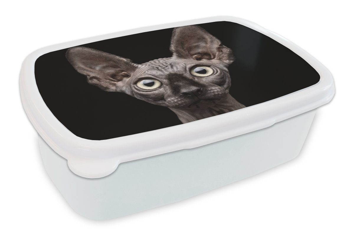 MuchoWow Lunchbox Katze - Haustiere - Porträt - Schwarz, Kunststoff, (2-tlg), Brotbox für Kinder und Erwachsene, Brotdose, für Jungs und Mädchen weiß