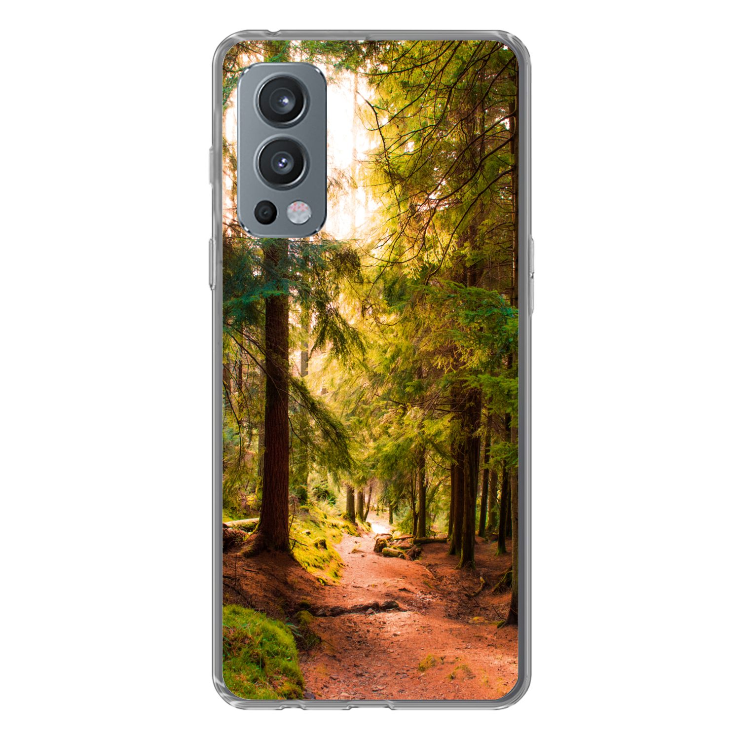 MuchoWow Handyhülle für OnePlus Nord 2 5G Wald - Weg - Bäume - Grün - Sonne - Natur, Phone Case, Silikon, Schutzhülle Dünn