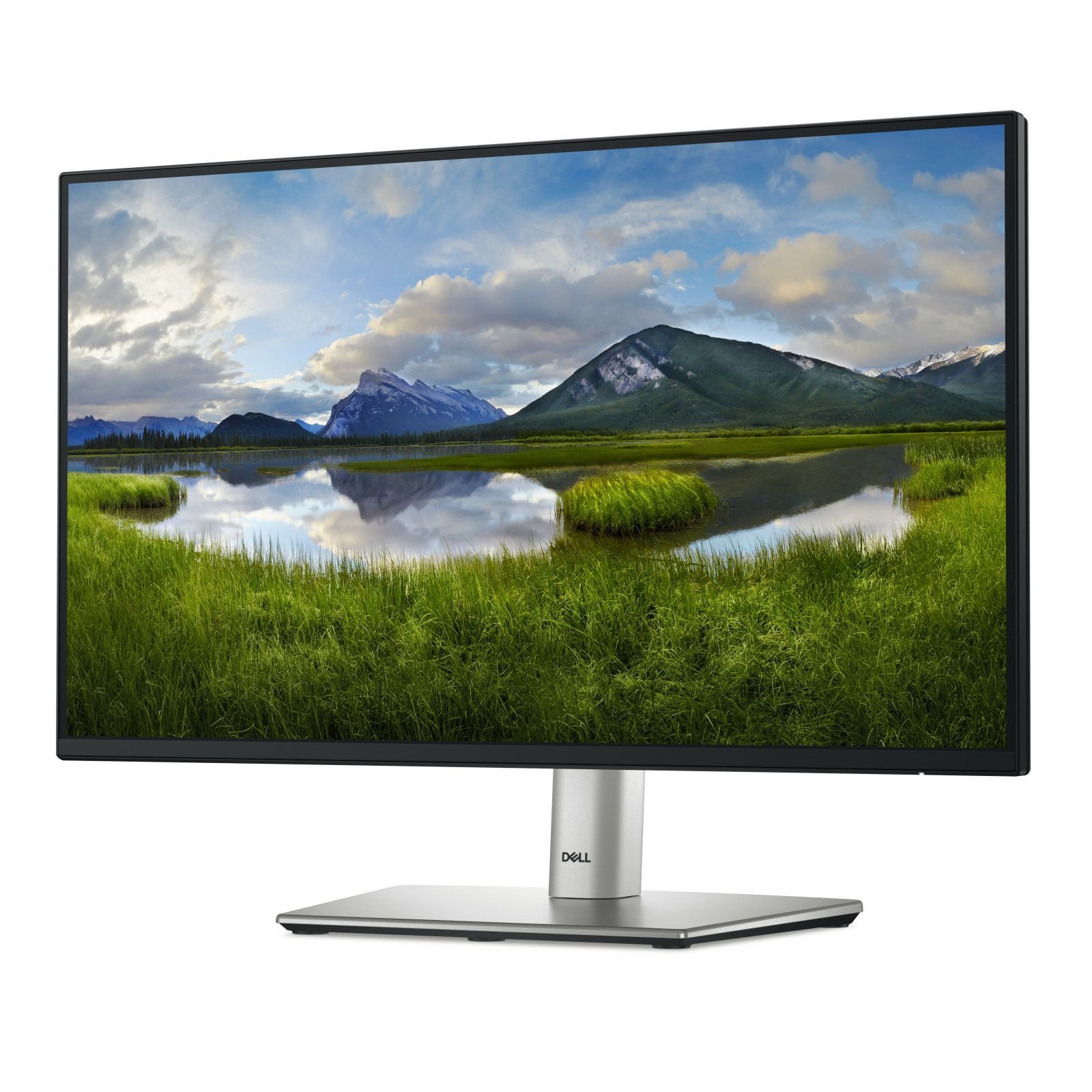 Dell TFT P2225H 21.5IN IPS ANTIGLARE 1920X1080 16:9 DP HDMI VGA USBC TFT-Monitor (1920 x 1080 px, Full HD, 8 ms Reaktionszeit, 100 Hz, IPS, HDCP, Pivot, Höhenverstellbar)