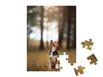 puzzleYOU Puzzle Hund läuft durch die Natur, Beagle, Haustier, 48 Puzzleteile, puzzleYOU-Kollektionen Hunde, Beagle