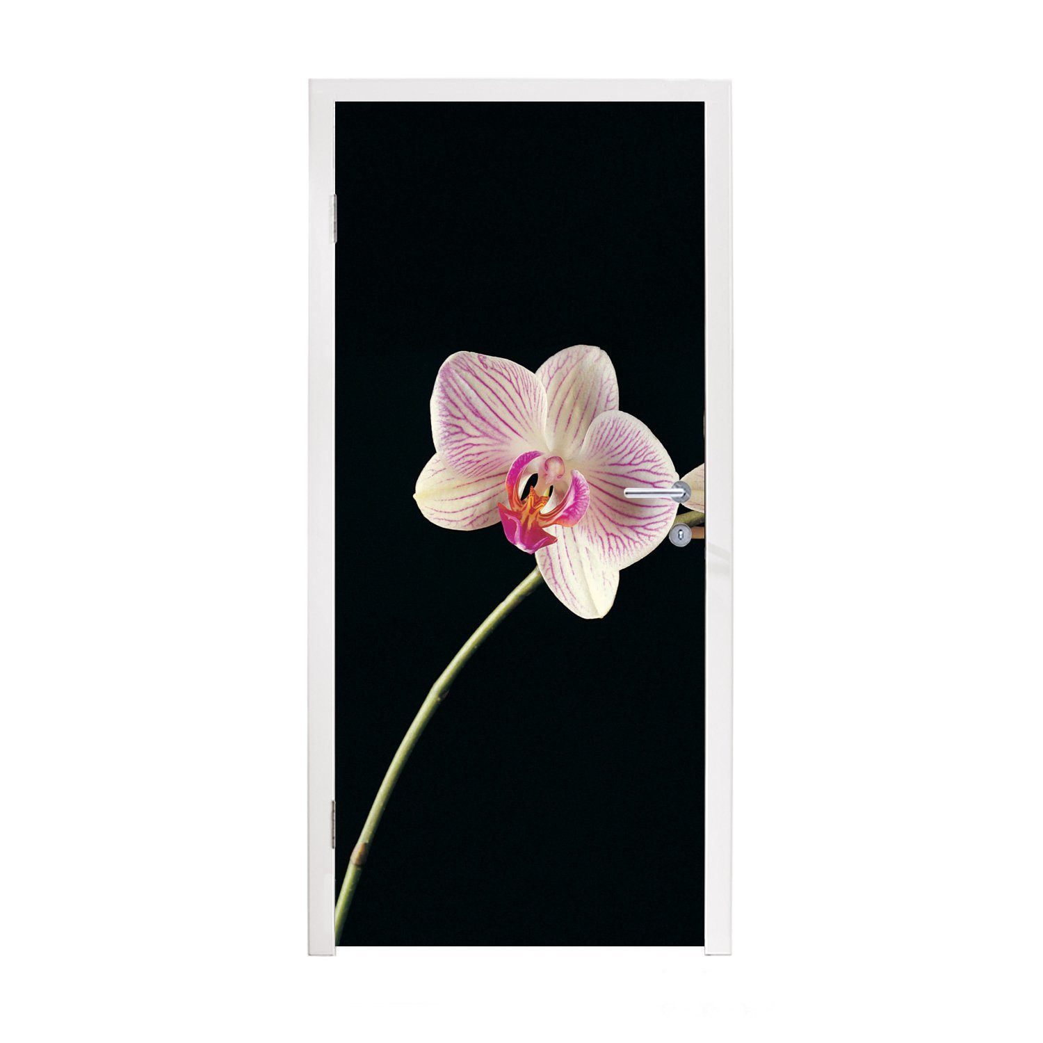 MuchoWow Türtapete Orchidee - Blumen - Schwarz - Rosa - Knöpfe, Matt, bedruckt, (1 St), Fototapete für Tür, Türaufkleber, 75x205 cm