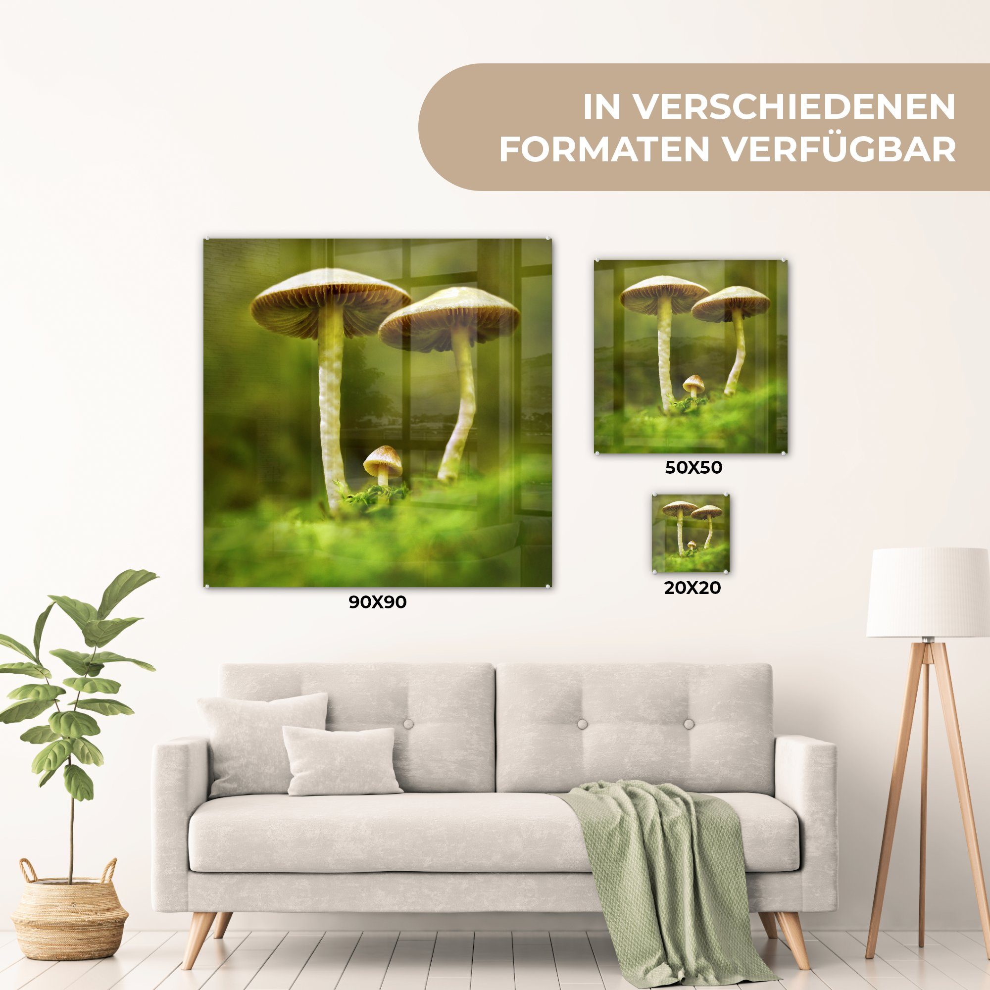 Pilz, und auf auf - Glasbilder Zwei Acrylglasbild Glas ein Foto Wanddekoration Wandbild (1 St), Bilder - MuchoWow große Glas - kleiner