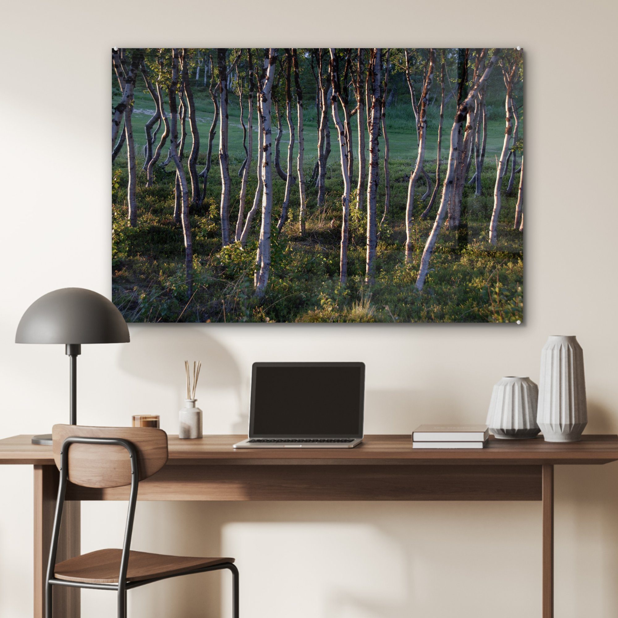 St), Schlafzimmer & im Acrylglasbild Abisko-Nationalpark (1 Acrylglasbilder in Schweden, Wohnzimmer Birkenwald MuchoWow