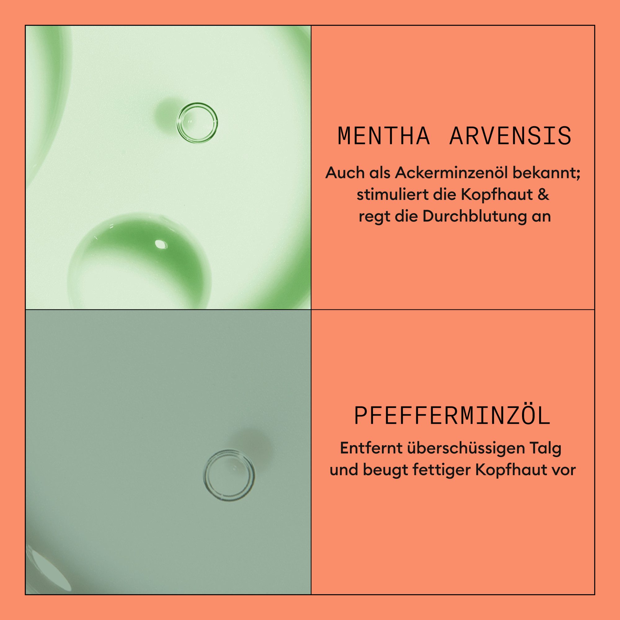 Nioxin Haarspülung NIOXIN SCALP + HAIR SYSTEM 4 CONDITIONER, dermatologisch getestet, für coloriertes & dünner werdendes Haar – Bild 4 von 5