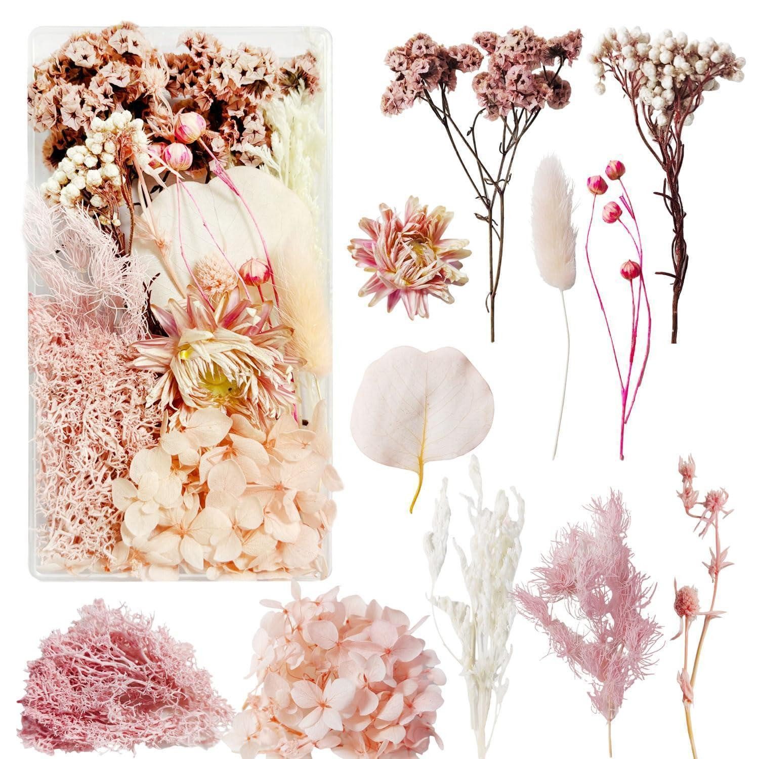 Trockenblume Getrocknete Blumenstrauß Rosa Deko DIY, LuxusKollektion, Höhe 1 cm