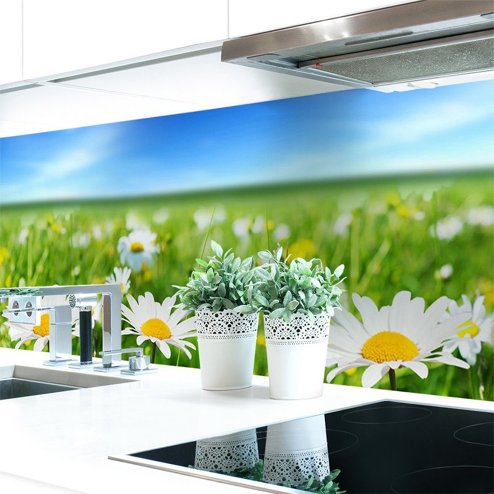 DRUCK-EXPERT Küchenrückwand Küchenrückwand Blumenwiese Premium Hart-PVC 0,4 mm selbstklebend
