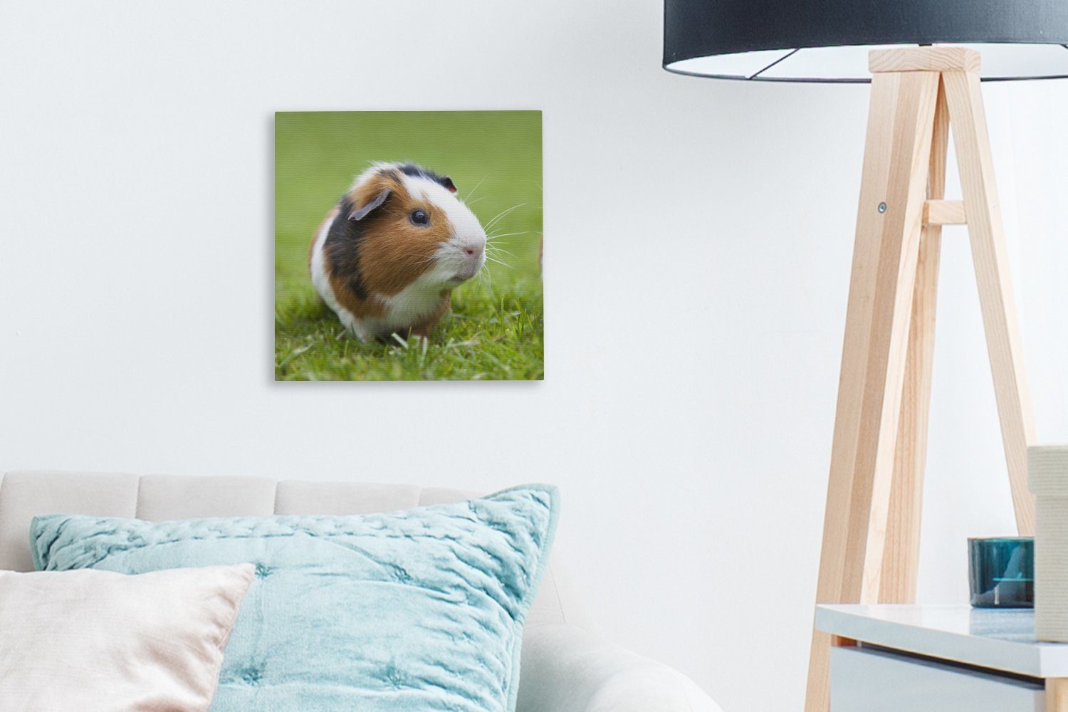 OneMillionCanvasses® Leinwandbild (1 Schlafzimmer Leinwand Wohnzimmer Bilder für Meerschweinchen, St), Zwei