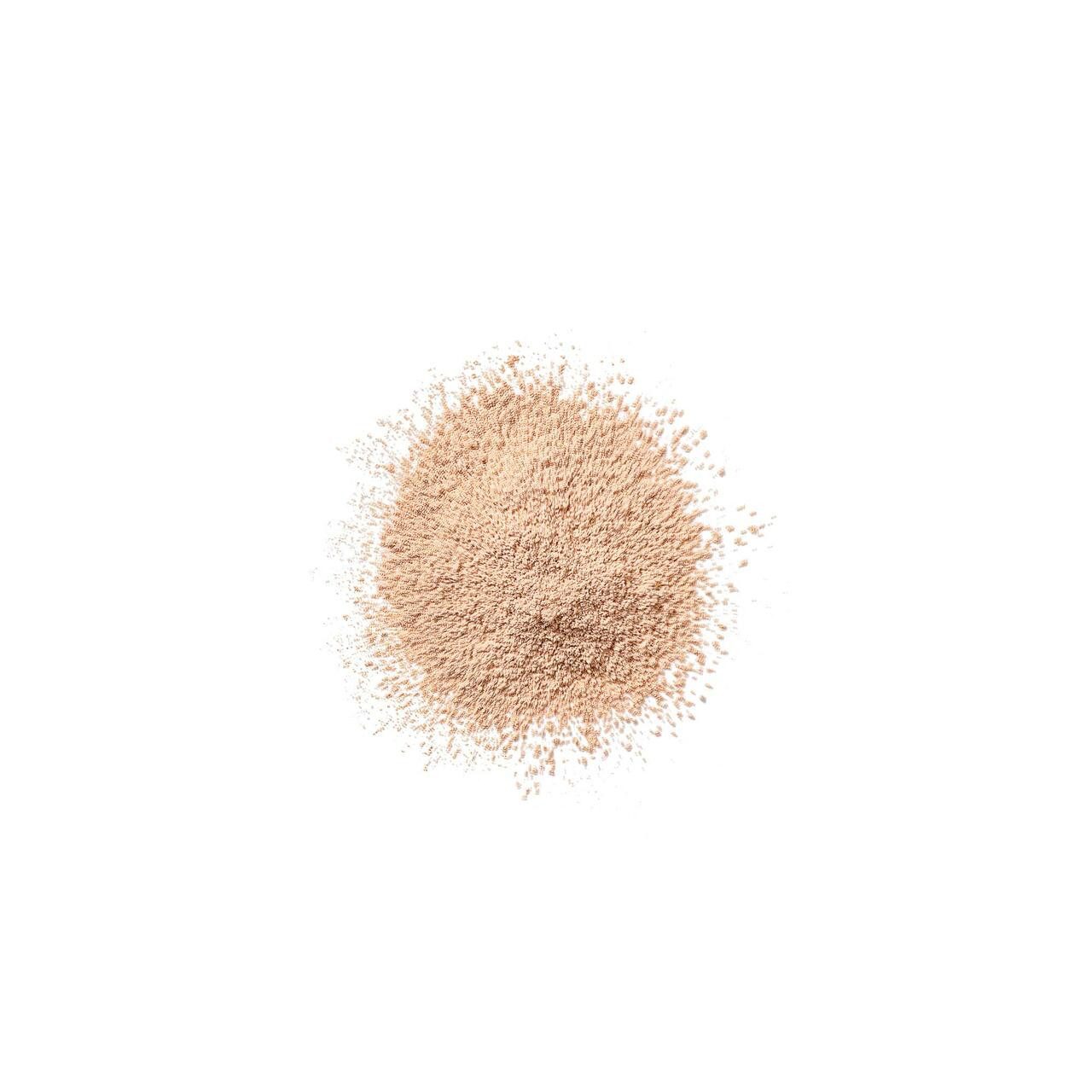 CLINIQUE Puder Blended Face Powder