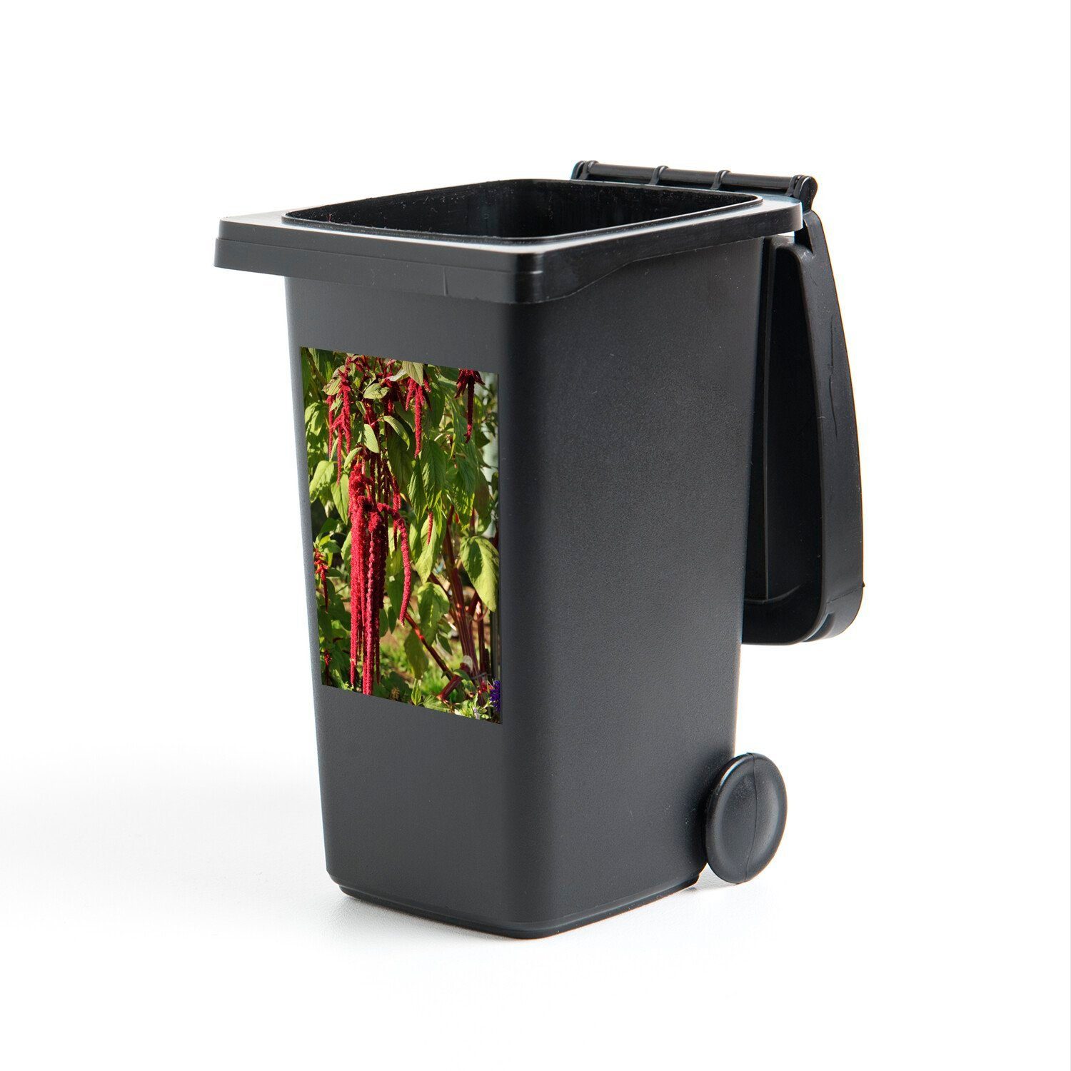 MuchoWow Wandsticker Amaranth-Pflanze in der Natur mit den roten Farben während der (1 St), Mülleimer-aufkleber, Mülltonne, Sticker, Container, Abfalbehälter