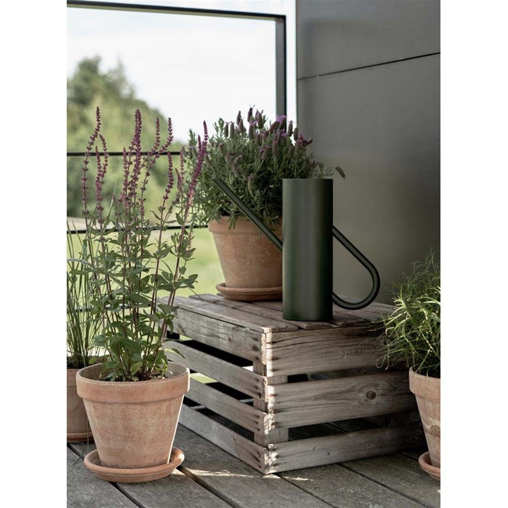Stelton Gießkanne Bloom, 2 Liter, pine / Grün, mit langem Ausgießer