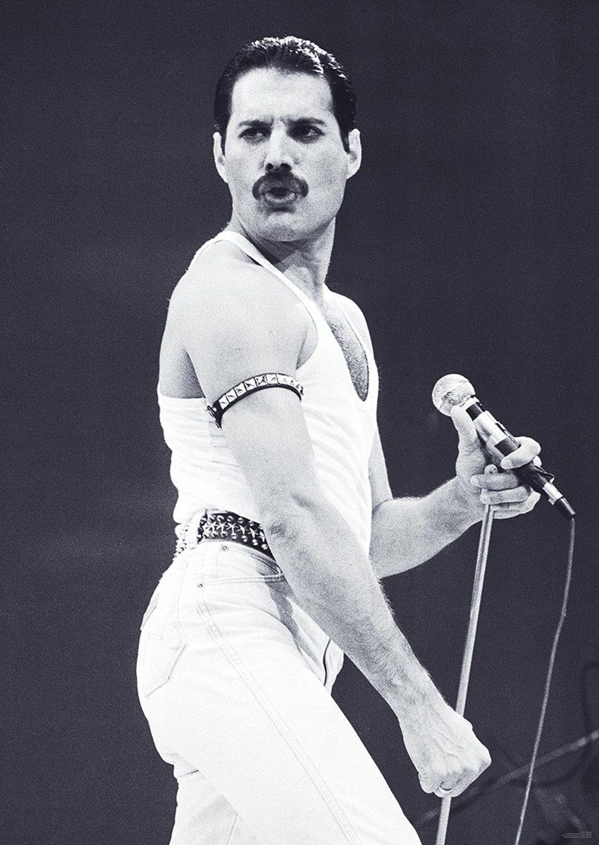 Close Up Poster Queen Poster Freddie Mercury 59,5 x 84 cm günstig online kaufen