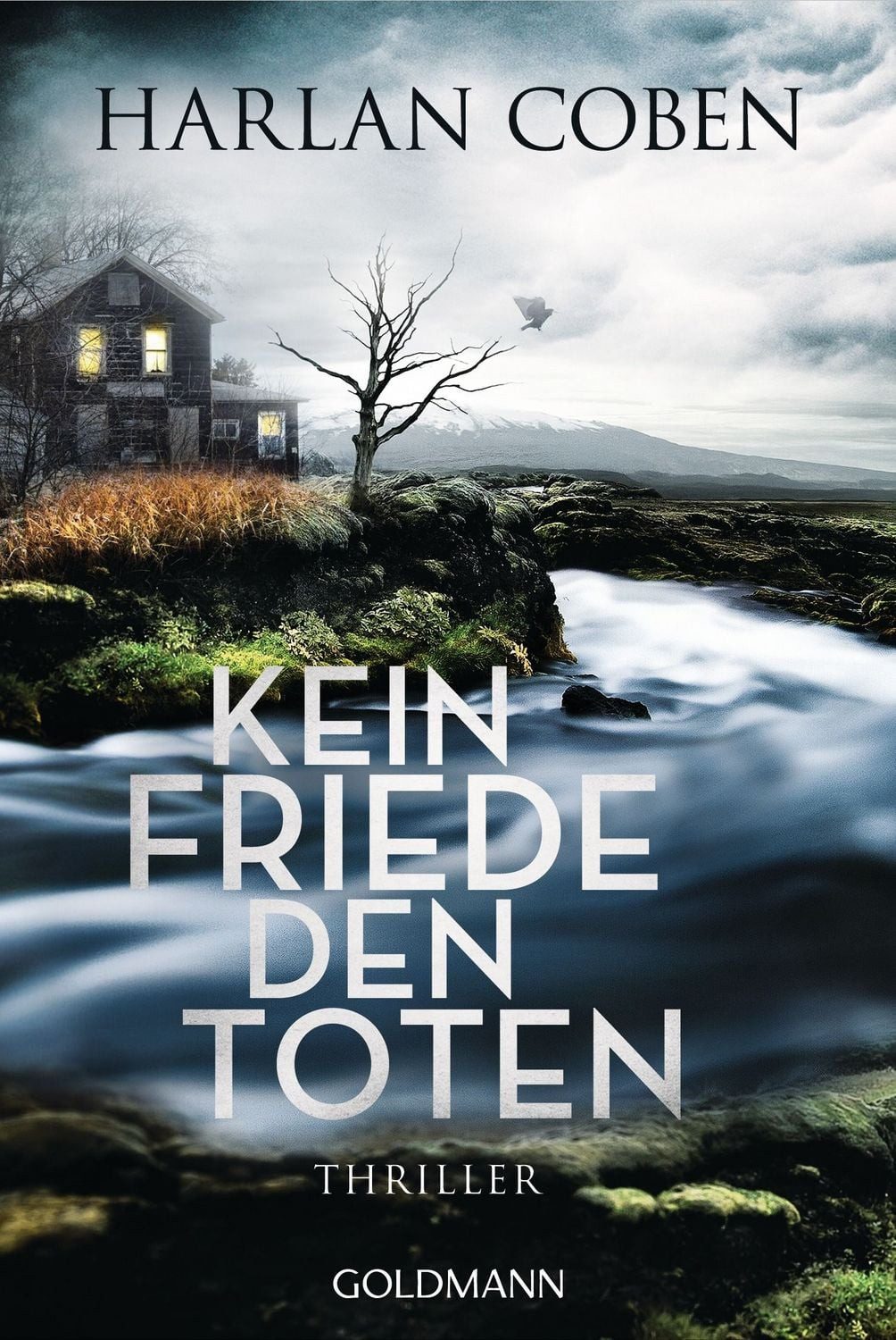 Kein Friede den Toten / Harlan Coben