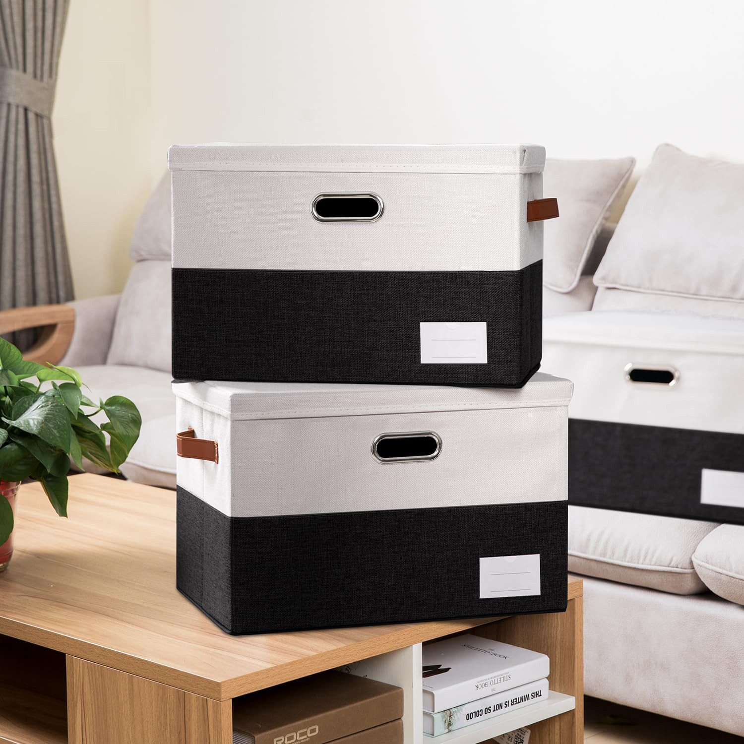 Coonoor Aufbewahrungsbox Aufbewahrungsbox mit Deckel, Kleiderschrank günstig online kaufen
