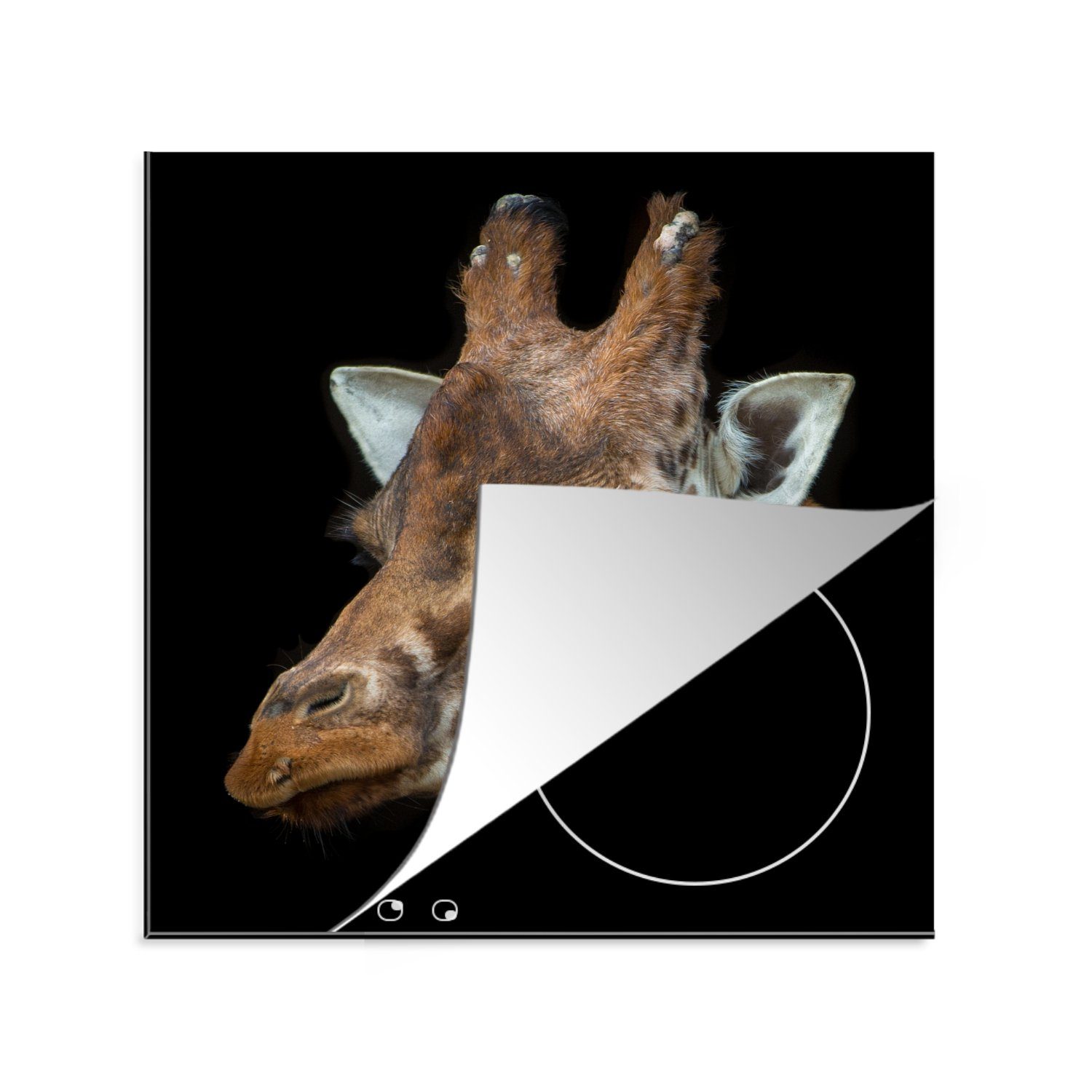 MuchoWow Herdblende-/Abdeckplatte Porträt einer Giraffe auf schwarzem Hintergrund, Vinyl, (1 tlg), 78x78 cm, Ceranfeldabdeckung, Arbeitsplatte für küche
