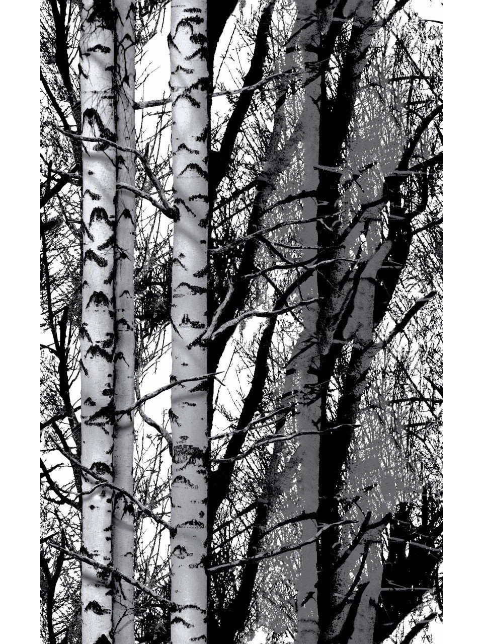 d-c-fix Wandfolie d-c-fix Selbstklebefolie Trendyline Wood 45 cm x, Natur