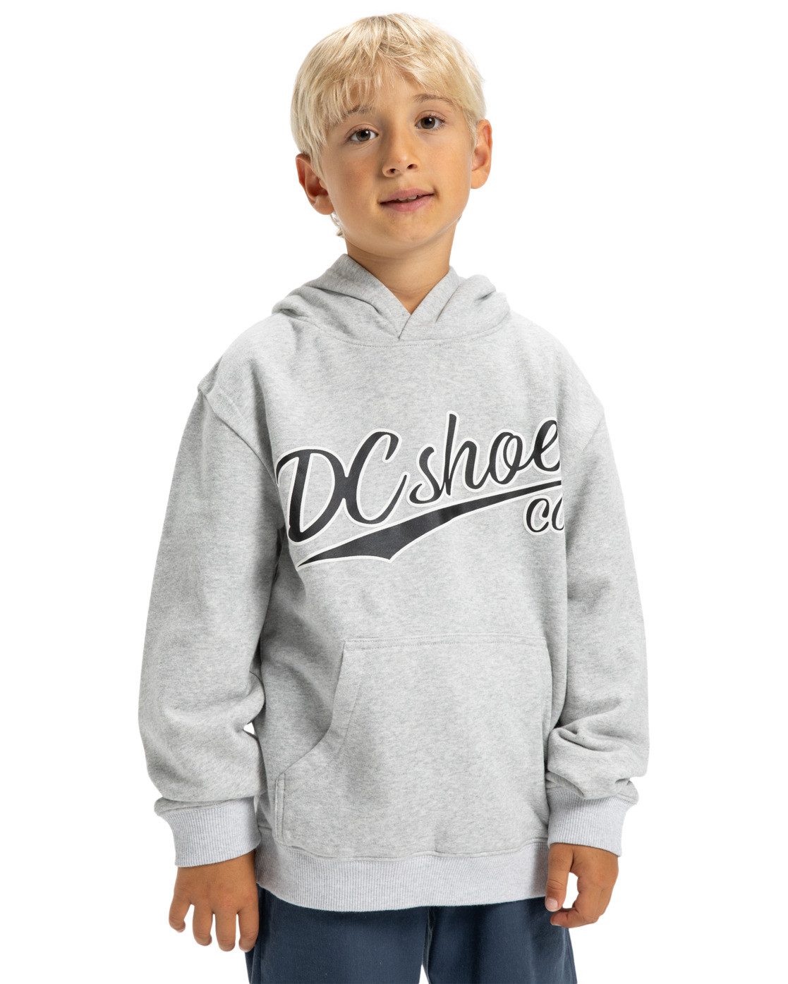 DC Shoes Kapuzensweatshirt Substitute