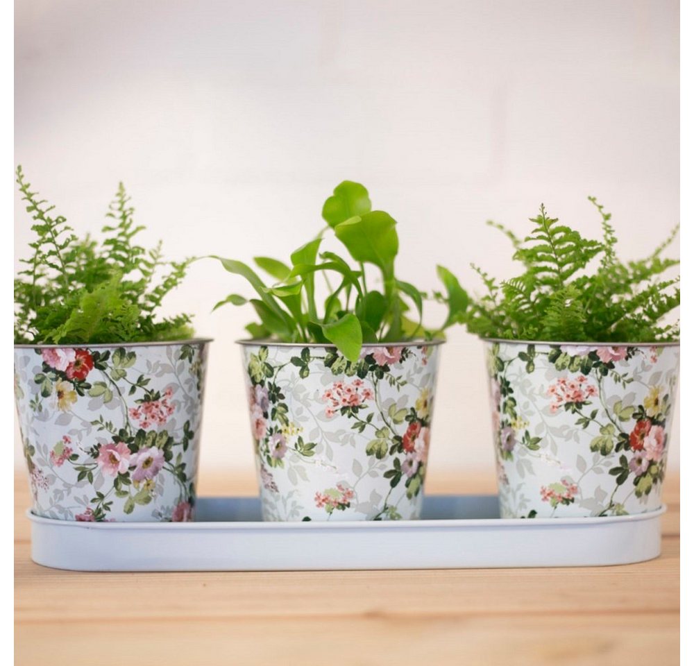 Thumbnail - Linoows Pflanzkübel Blumentopf Set Rosen, 3er Garten Metall Topfset (Set), 3 Pflanzentöpfe mit Rosendruck, Pflanztopf Tr...