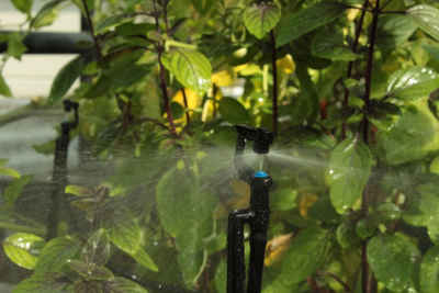 Vitavia Bewässerungssystem MGS48, Bewässerungssystem 5 bis 8 m²