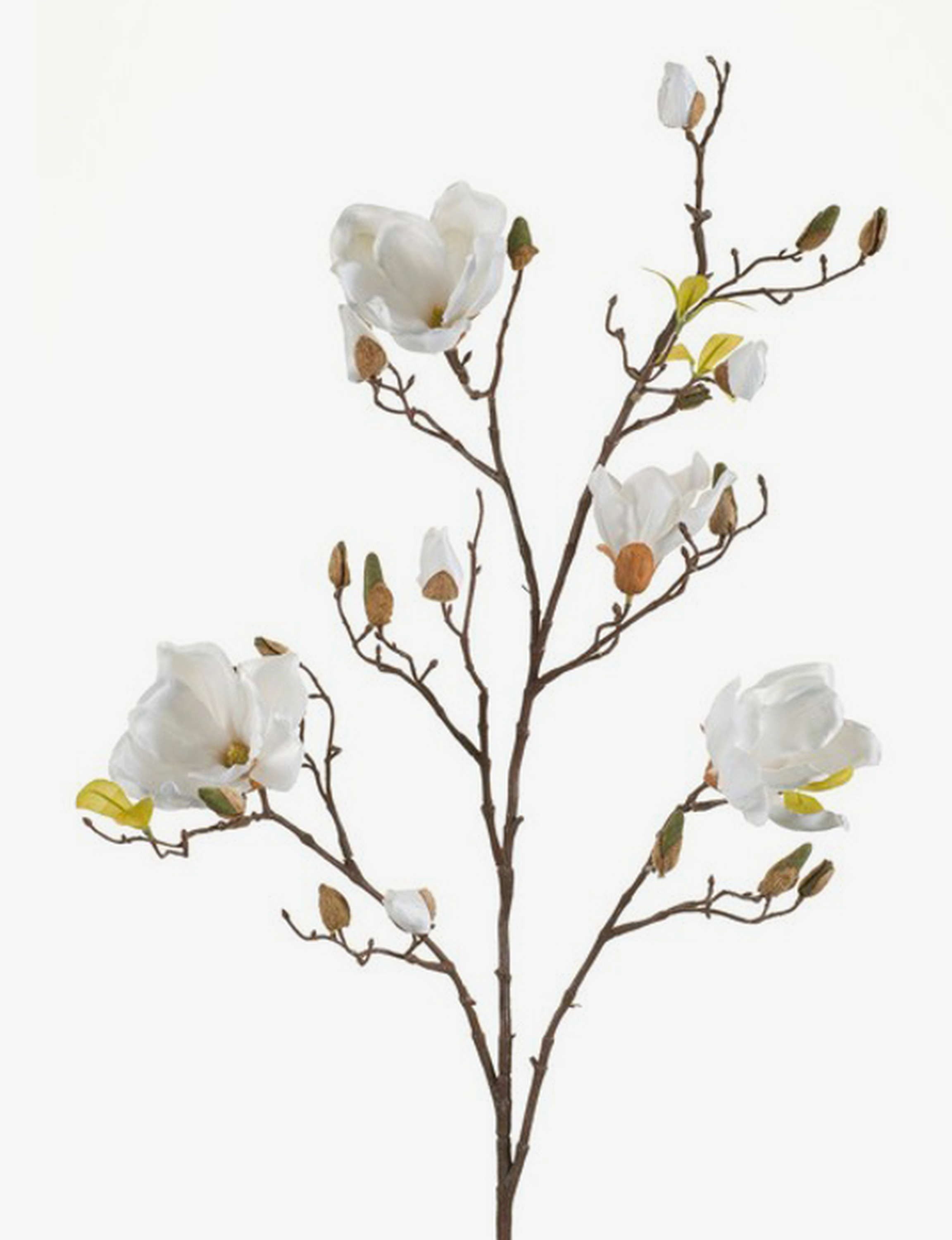 Kunstzweig Kunstblume Magnolienzweig LILO, 4 Blüten, Knospen, Creme - weiß, 110cm Magnolie, artplants, Höhe 110.0 cm
