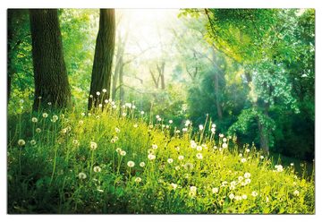 Wallario Wandfolie, Pusteblumen im Wald mit einfallenden Sonnenstrahlen, wasserresistent, geeignet für Bad und Dusche