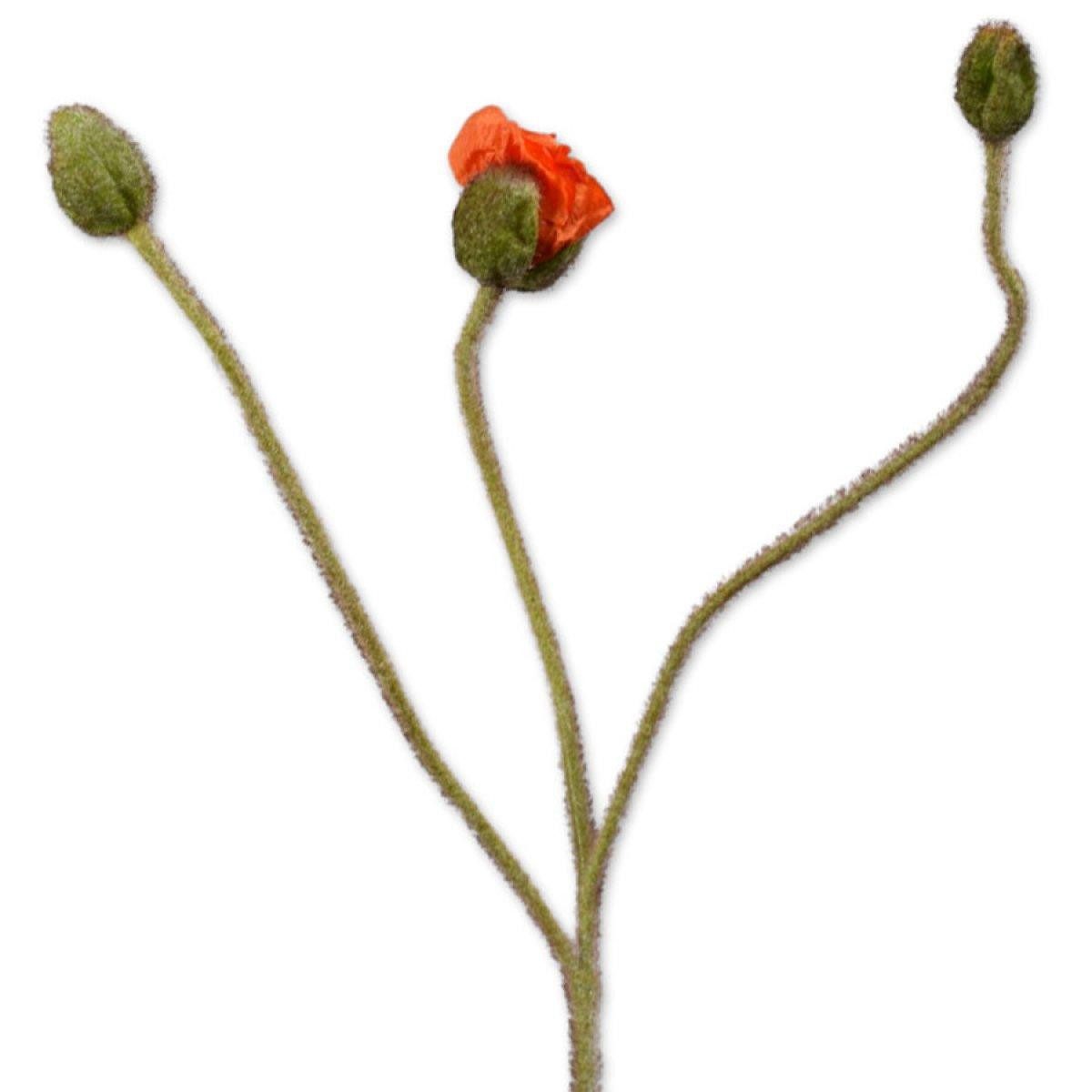 Künstliche Zimmerpflanze Seidenblume Mohn Orange (87cm), SILK-KA