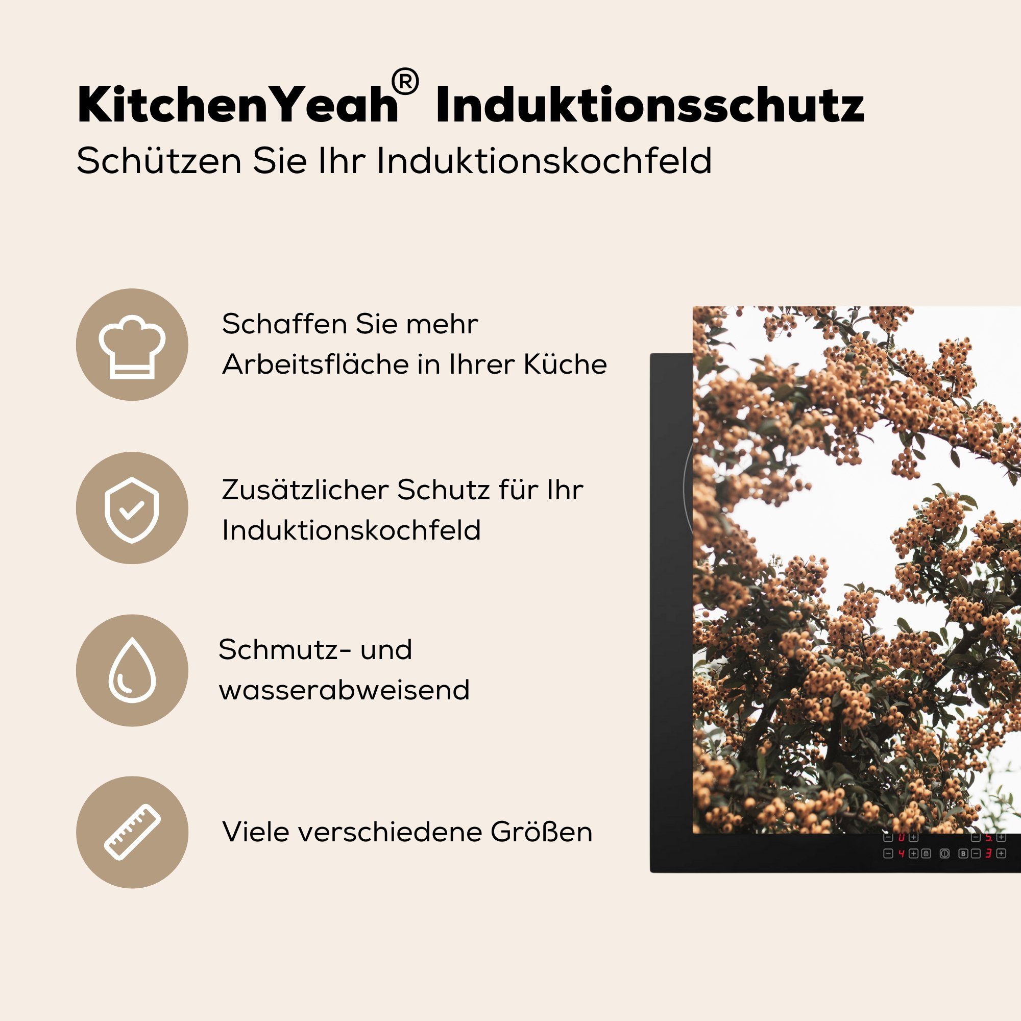 (1 60x52 tlg), Herdblende-/Abdeckplatte Arbeitsfläche - Herbst Vinyl, - nutzbar, Busch, cm, Beeren Ceranfeldabdeckung MuchoWow Natur Mobile -