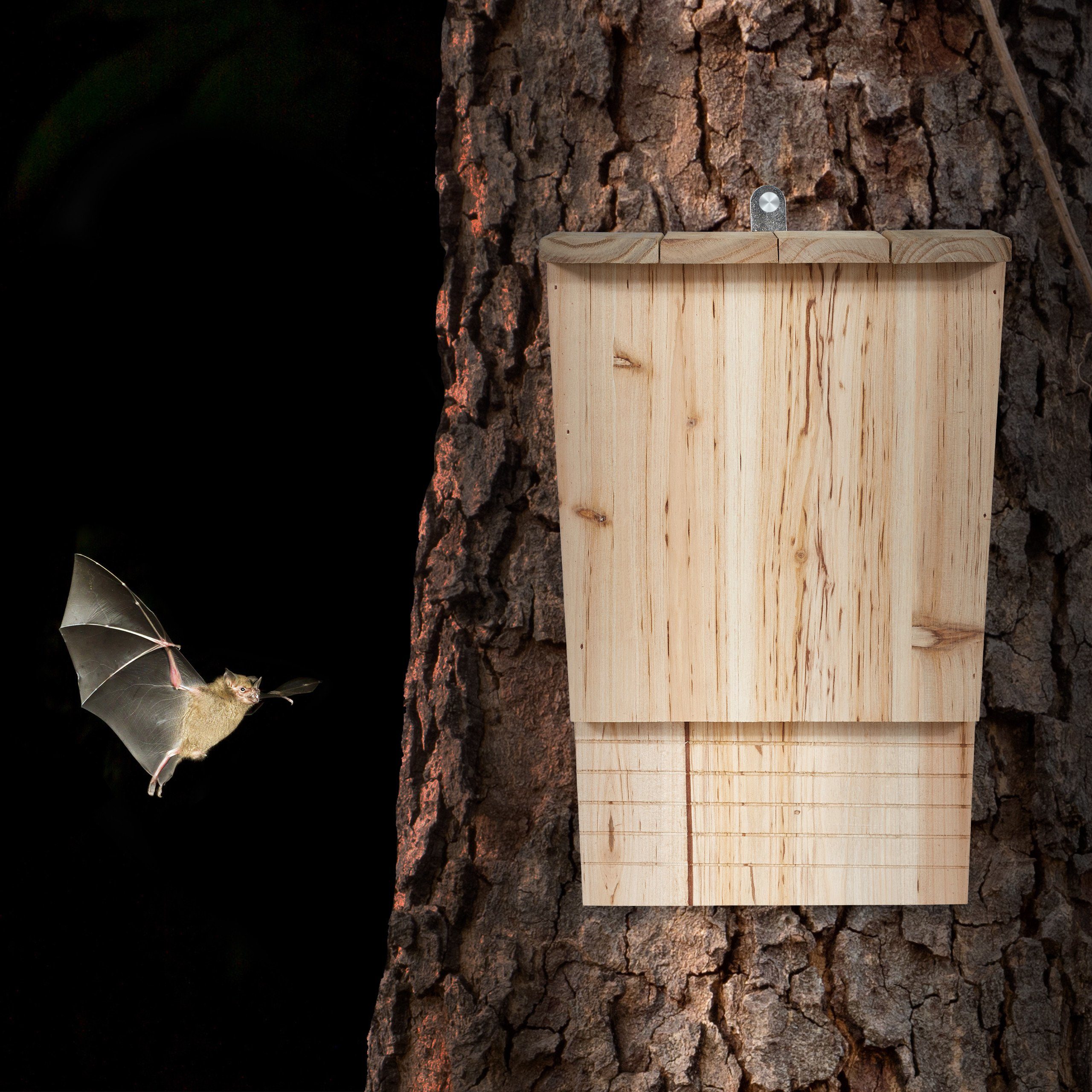 relaxdays Holz Vogelhaus Fledermauskasten aus