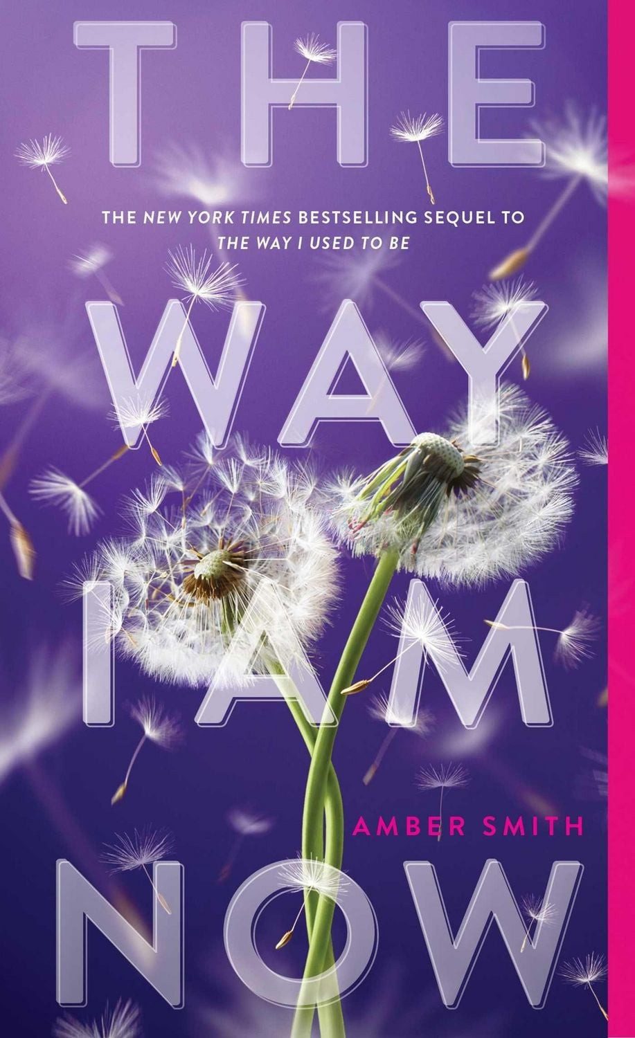 The Way I Am Now / Amber Smith