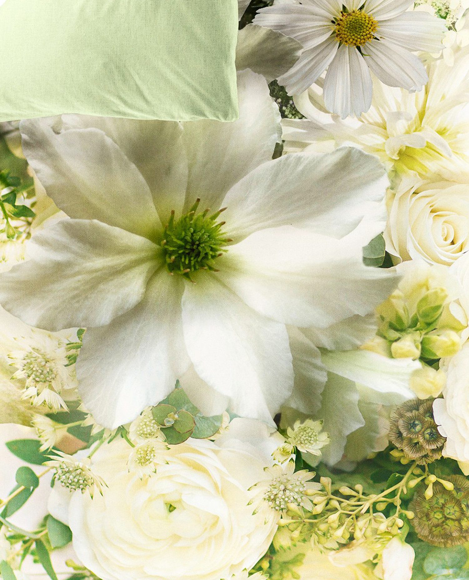 JACK Wendebettwäsche 135x200cm Digitaldruck Blüten Blumen Lind Bierbaum, Satin, 2 teilig, seidiger Glanz, elegantes Motiv – Bild 3 von 5