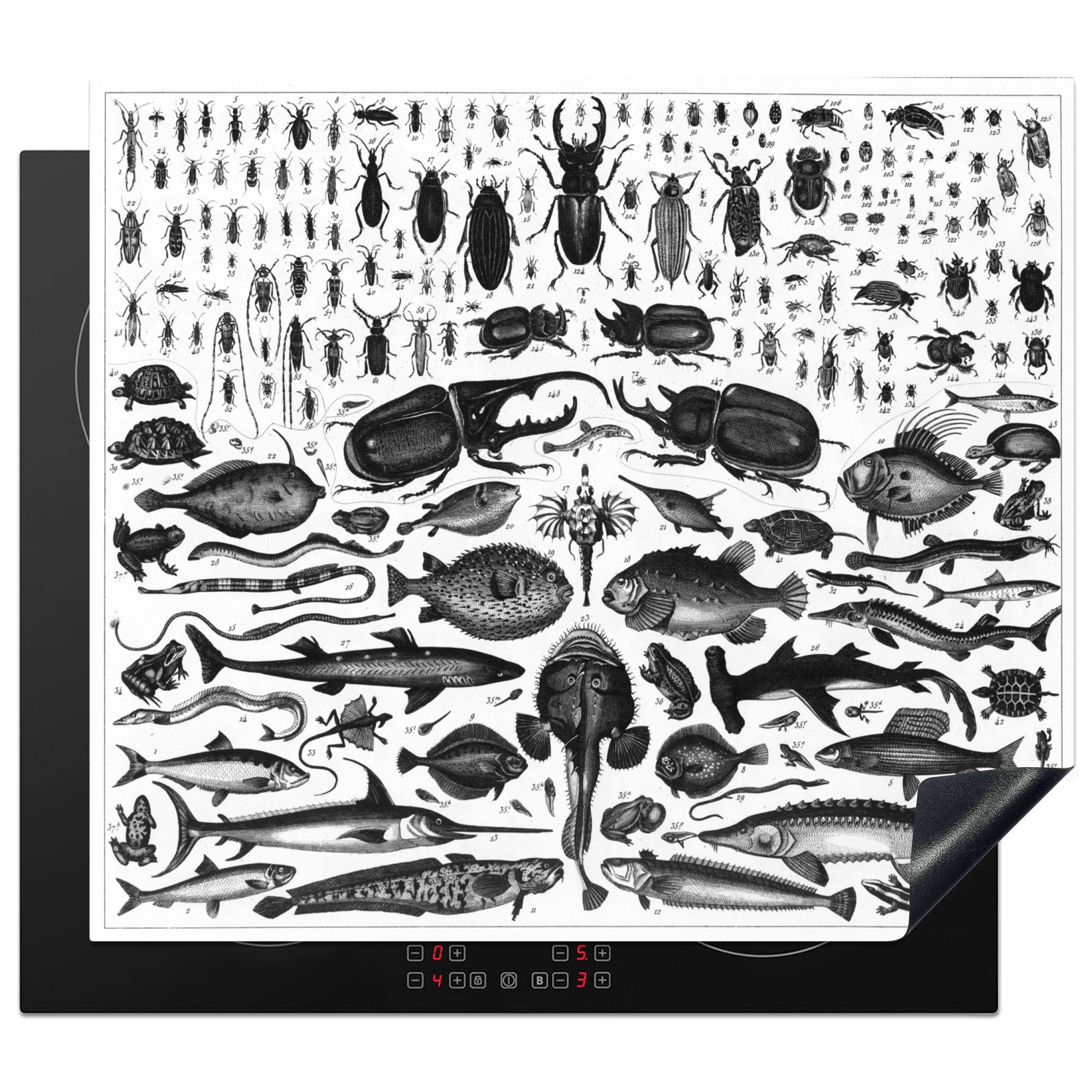 MuchoWow Herdblende-/Abdeckplatte Schwarz-Weiß-Abbildung von vielen Fischarten, Vinyl, (1 tlg), 59x52 cm, Ceranfeldabdeckung für die küche, Induktionsmatte