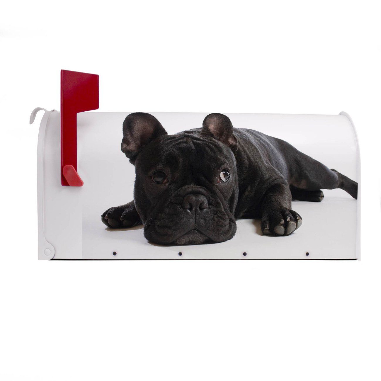 cm weiß Briefkasten, Mailbox 51 (Amerikanischer 17 Bulldogge x Amerikanischer USA), Briefkasten x banjado 22 Mississippi aus original
