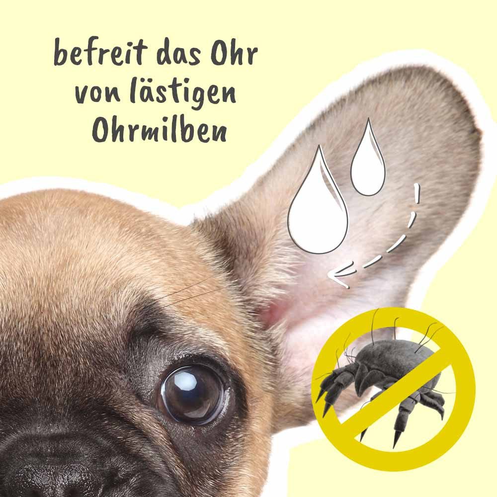 cdVet Fellpflege MilbenEx Ohrreiniger, 20 ml