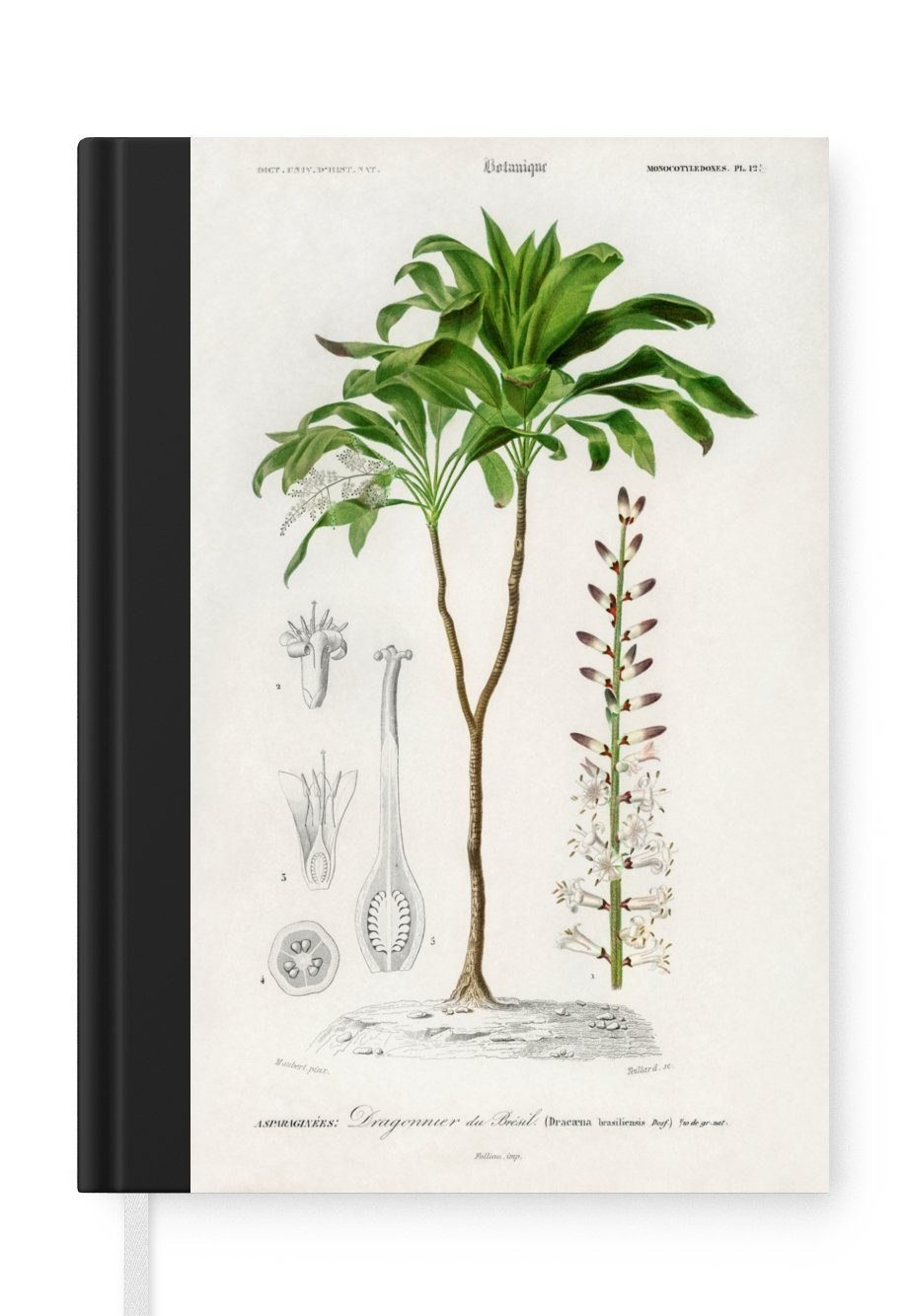 MuchoWow Notizbuch Pflanze - Seiten, Jahrgang 98 Haushaltsbuch - Tagebuch, A5, Merkzettel, Botanica, Notizheft, Journal