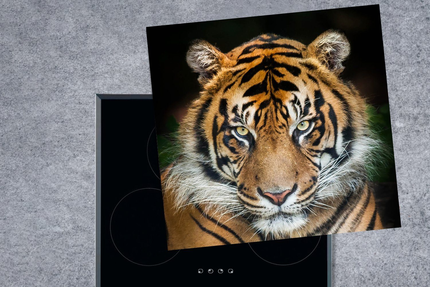 für vor Sumatra-Tiger Vinyl, einem schwarzen cm, küche (1 MuchoWow Ceranfeldabdeckung, Hintergrund, 78x78 Arbeitsplatte Herdblende-/Abdeckplatte tlg),