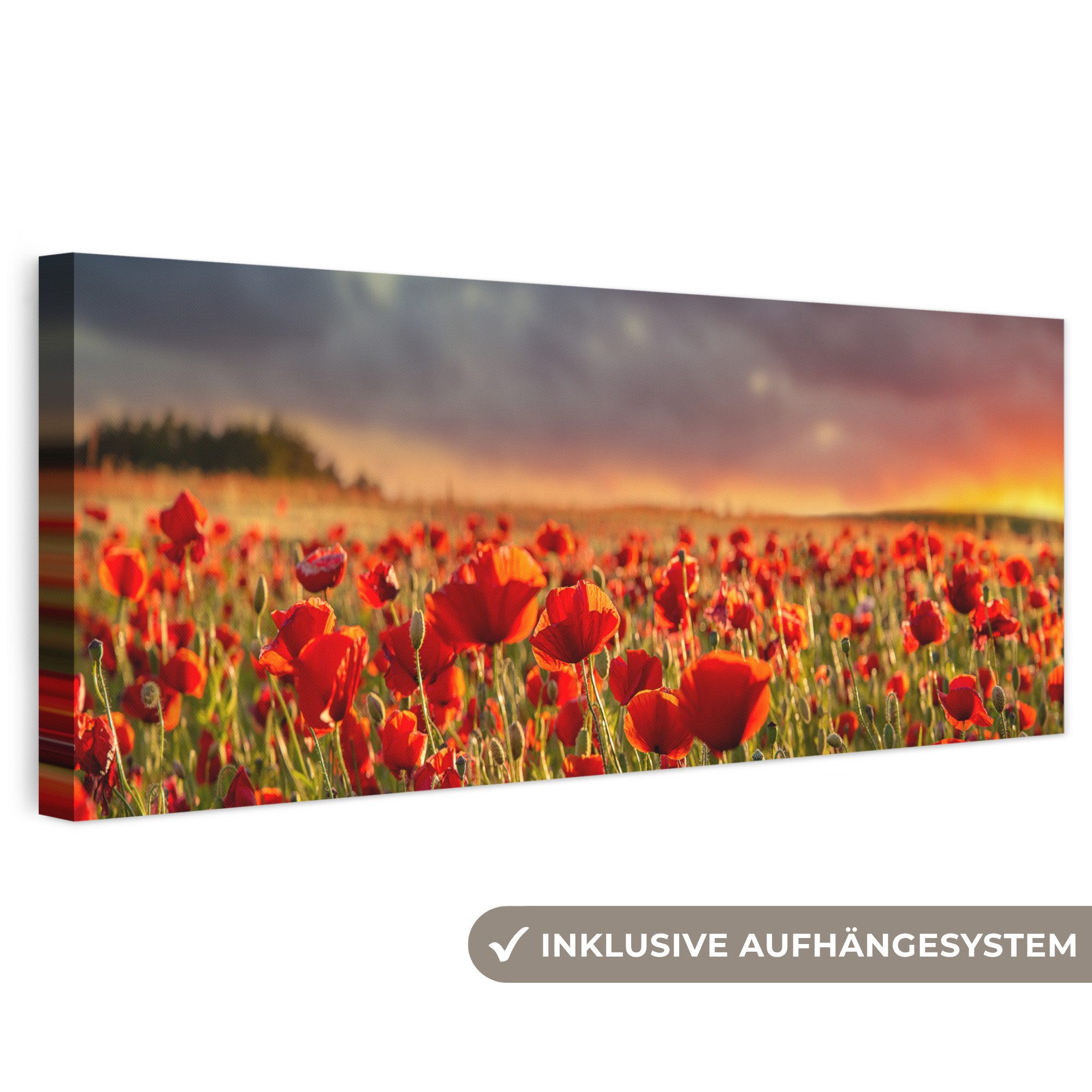 Mohnblume Dekoration online kaufen » Mohnblume Deko