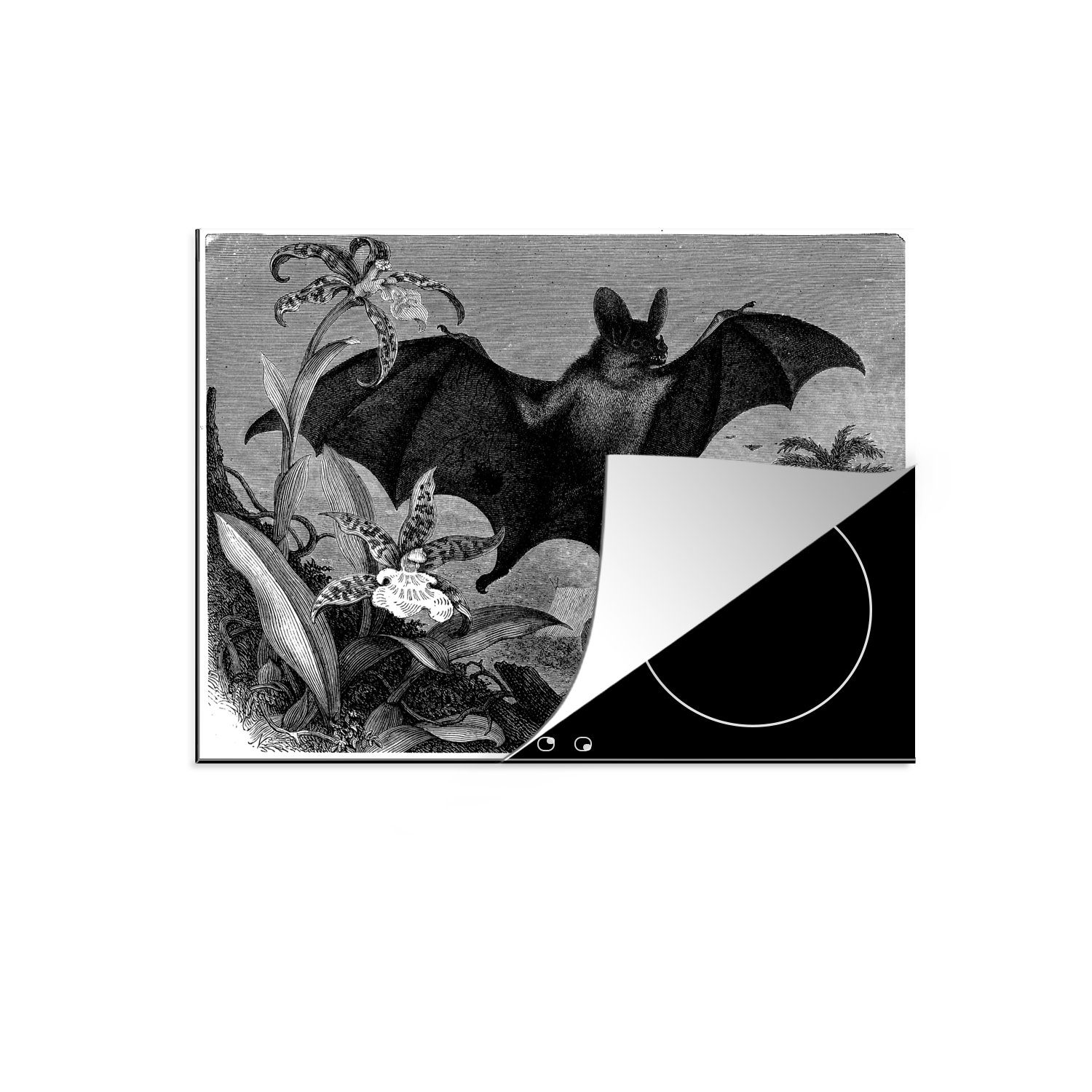 und Illustration Arbeitsfläche Herdblende-/Abdeckplatte Schwarz Vinyl, 70x52 in fliegenden Weiß, (1 Antike cm, nutzbar, Ceranfeldabdeckung MuchoWow Fledermaus Mobile einer tlg),
