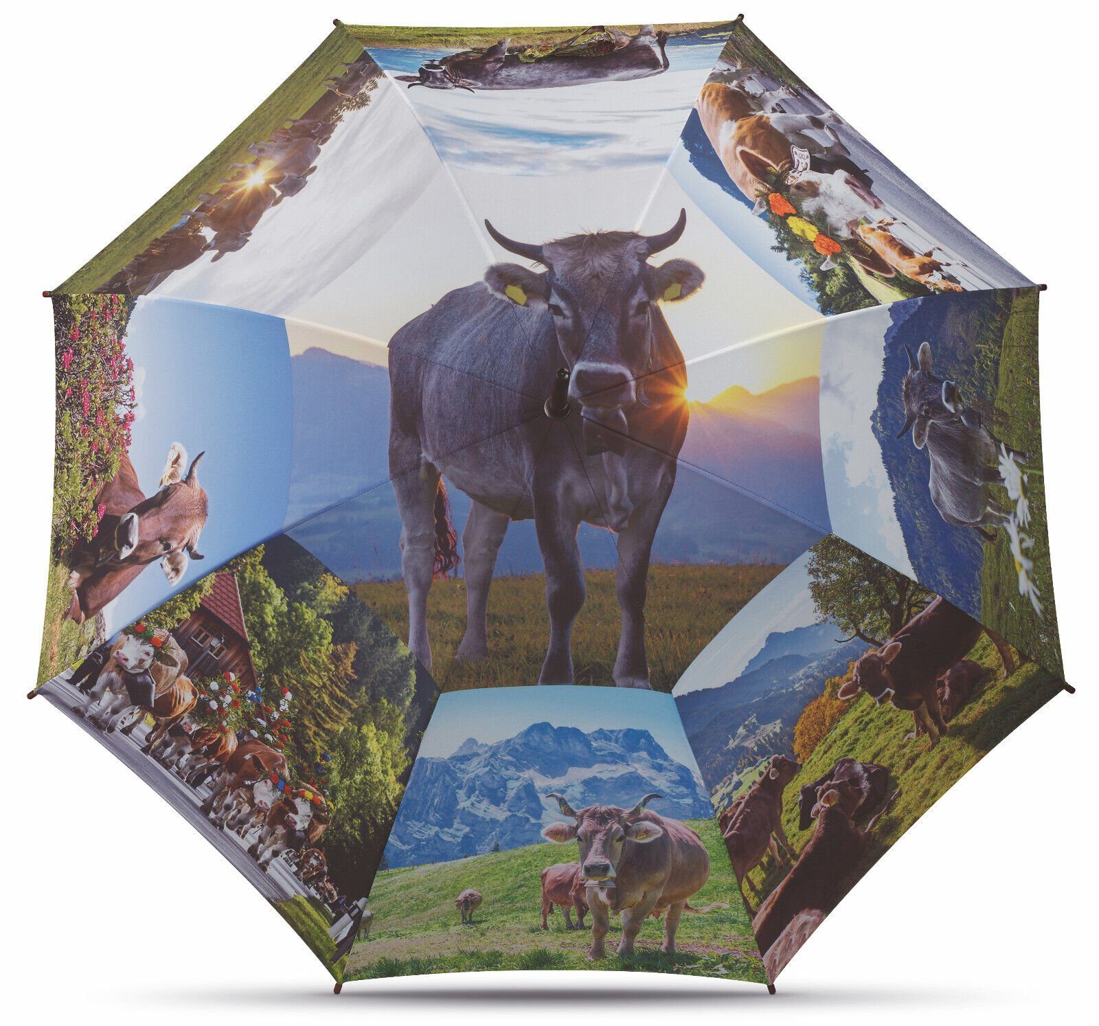 HAPPY RAIN Langregenschirm Alpenkuh, Stockschirm mit günstig online kaufen