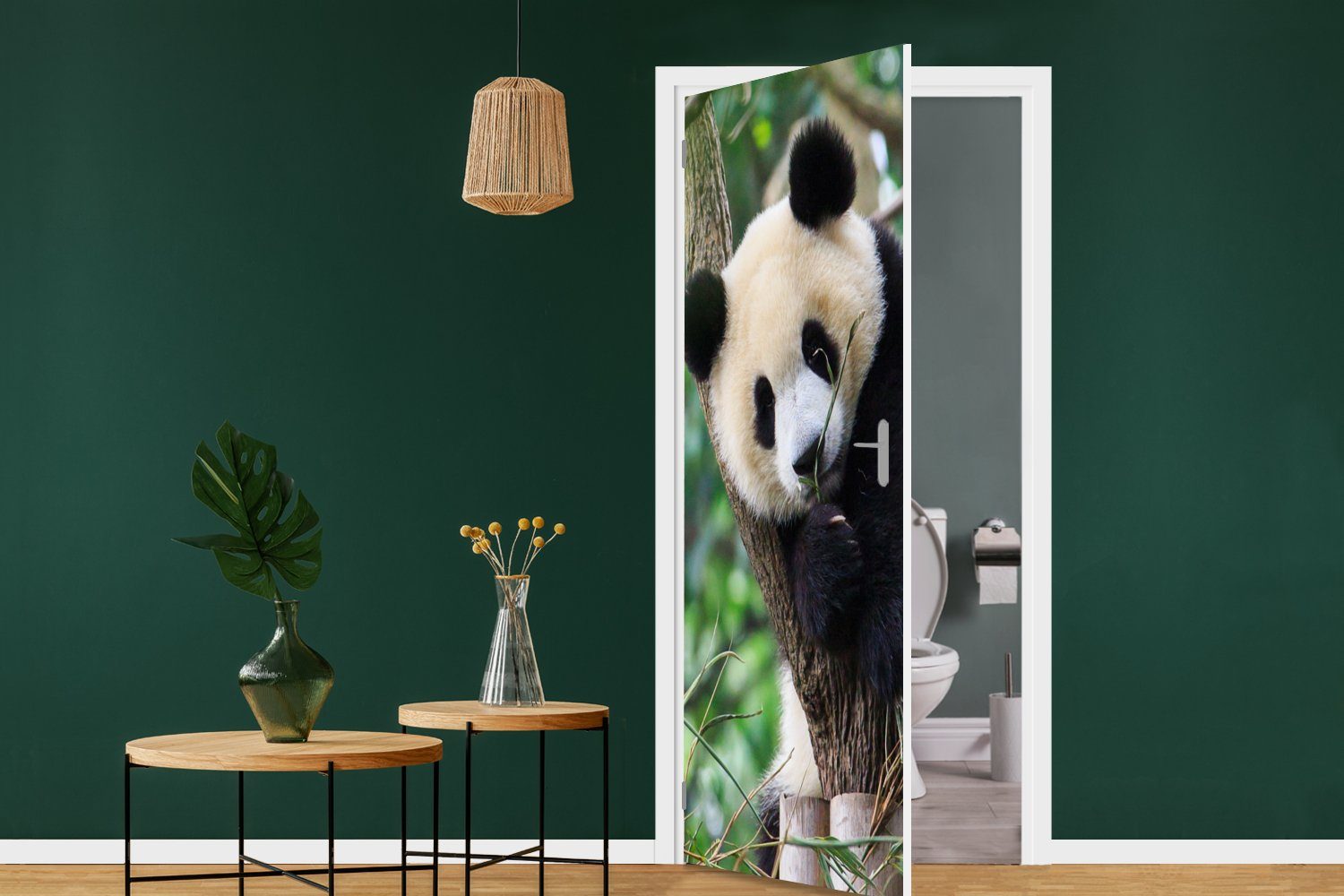 Tür, (1 Dschungel Panda - Matt, Türaufkleber, 75x205 bedruckt, St), Tiere - MuchoWow für Natur, Fototapete Türtapete cm -