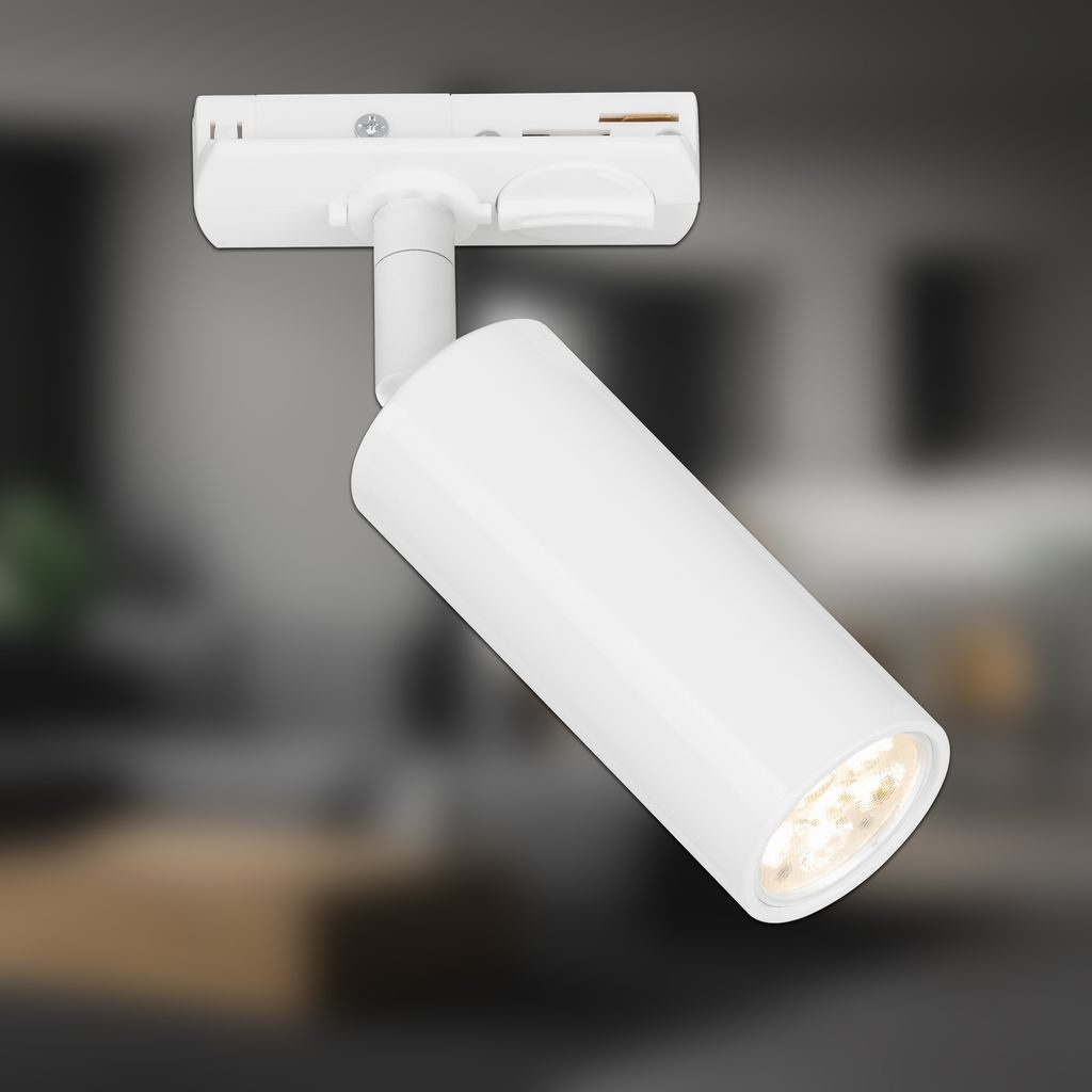 Briloner Leuchten LED Deckenleuchte 8007016, Dimmfunktion, LED fest integriert, 3000K - Warmweiß
