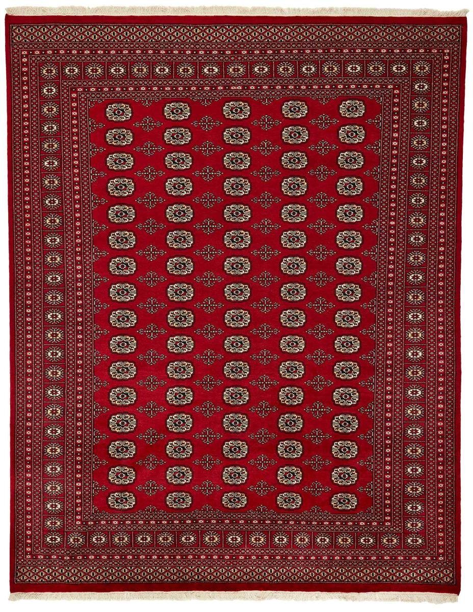 Orientteppich Pakistan Buchara 2ply 246x313 Handgeknüpfter Orientteppich, Nain Trading, rechteckig, Höhe: 8 mm